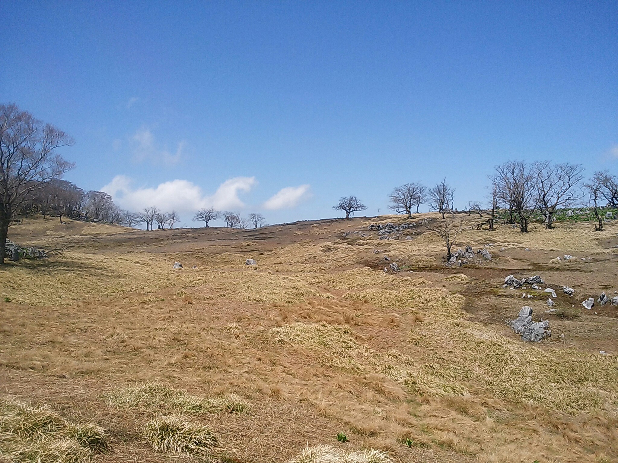 テーブルランド 鈴北岳 御池岳 東ボタンブチまで二重山稜周遊 ソロ日帰り 19 05 02 ゆう兄ちゃんさんの藤原岳 御池岳の活動データ Yamap ヤマップ