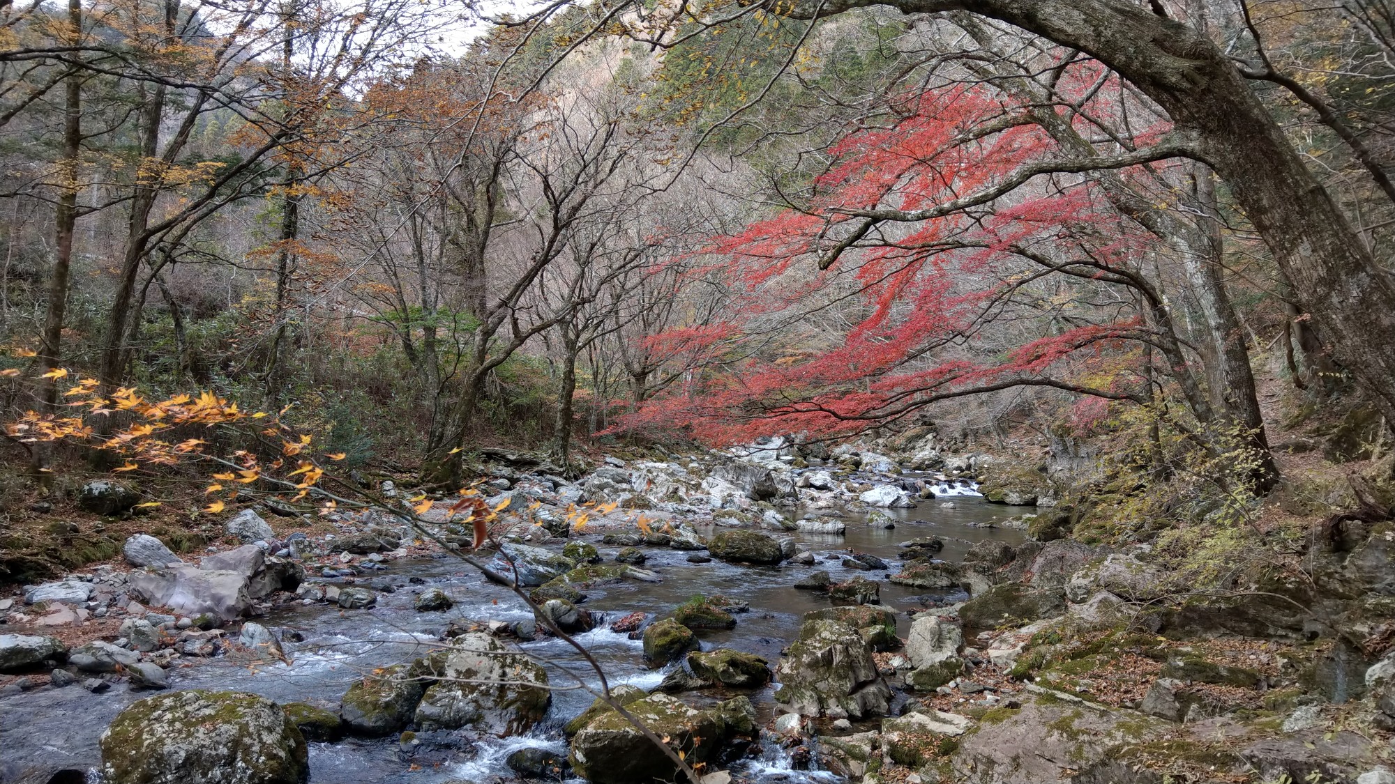 小田深山渓谷のち雨乞山 クンちゃんさんの四国遍路その14の活動データ Yamap ヤマップ
