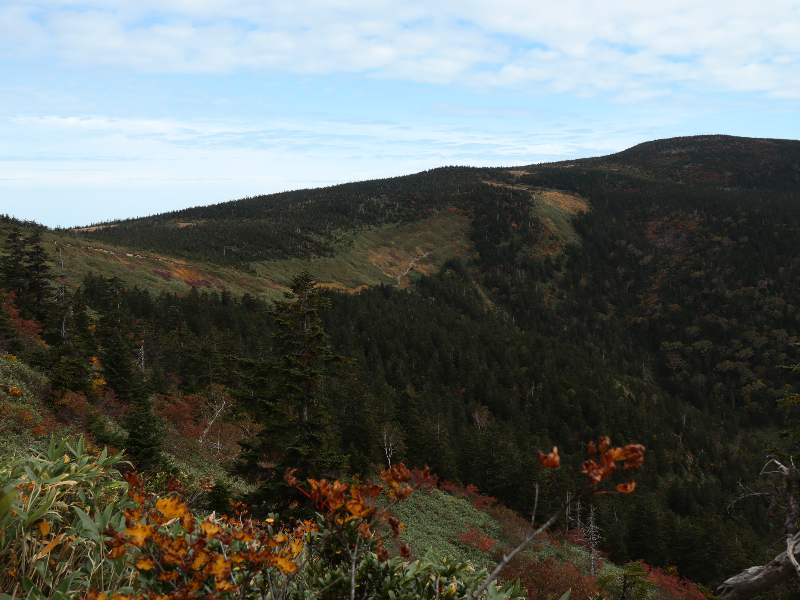 グランデコスノーリゾートから西吾妻山へ 日本百名山 ざどじぃさんの吾妻山 一切経山の活動データ Yamap ヤマップ