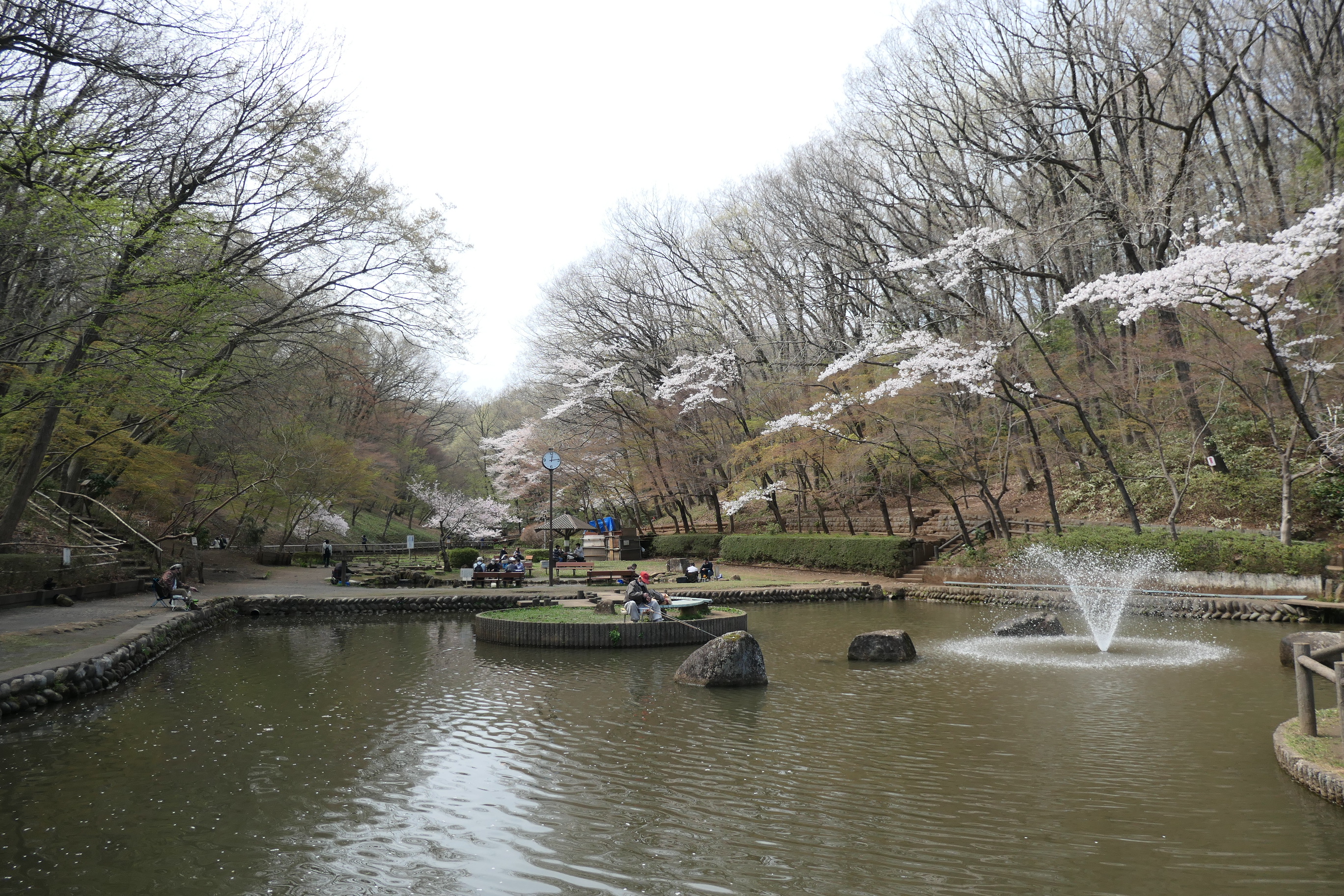 春満喫の狭山丘陵ハイキング Hiroさんの六道山 多摩湖 狭山湖の活動日記 Yamap ヤマップ
