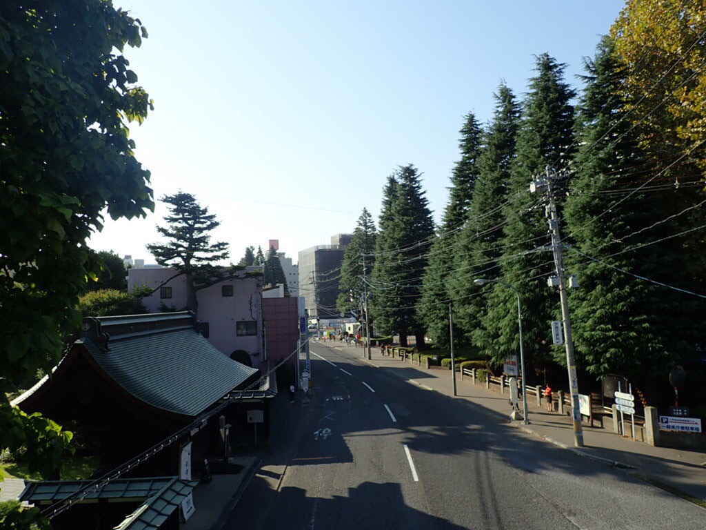 八戸市ロングウォーキング25km うさきちさんの八戸市の活動日記 Yamap ヤマップ