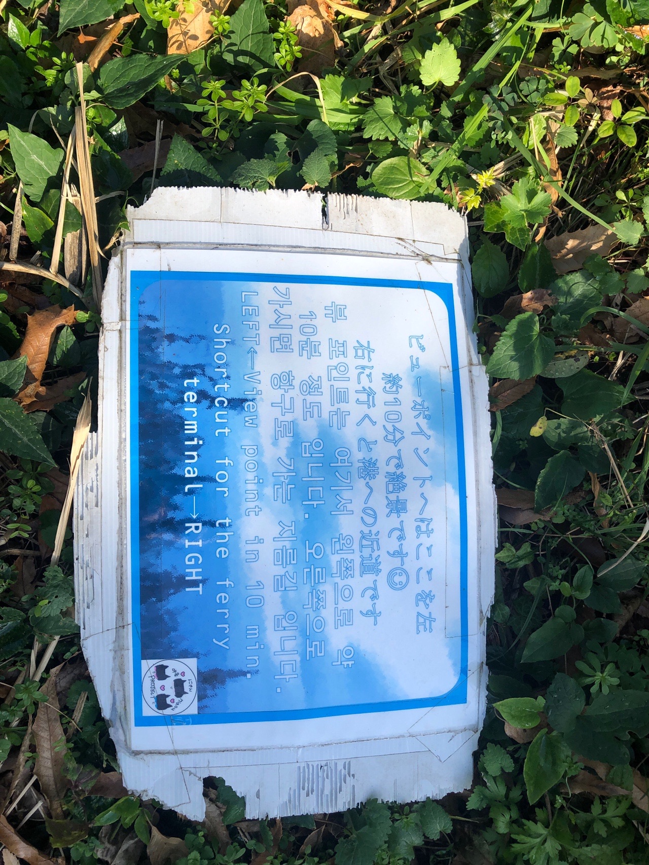 相島 福岡県 01 05 東海童さんの相島の活動データ Yamap ヤマップ