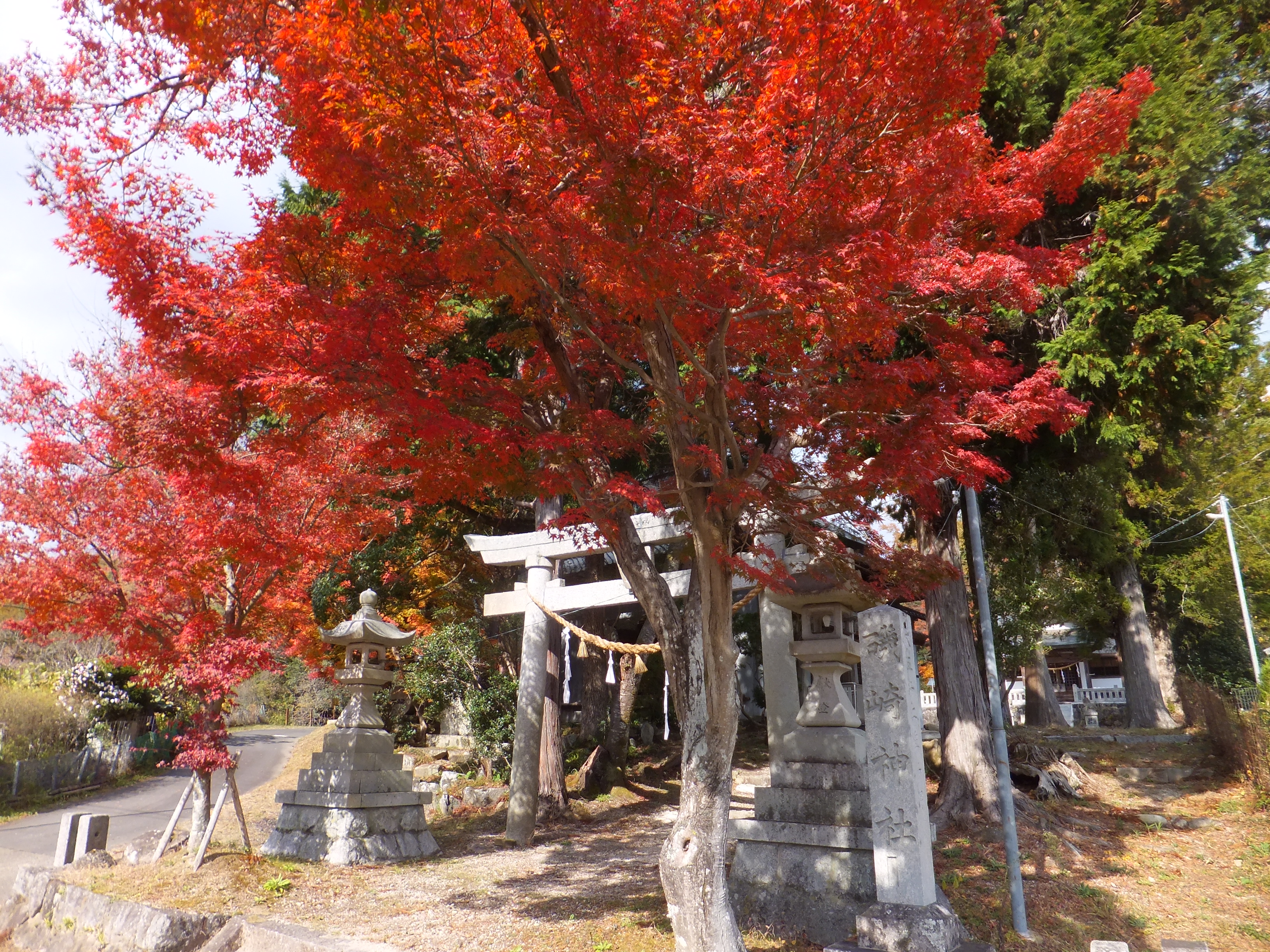 猿投山（北一色～東尾根～深見新池） / BAKUさんの猿投山・物見山の 