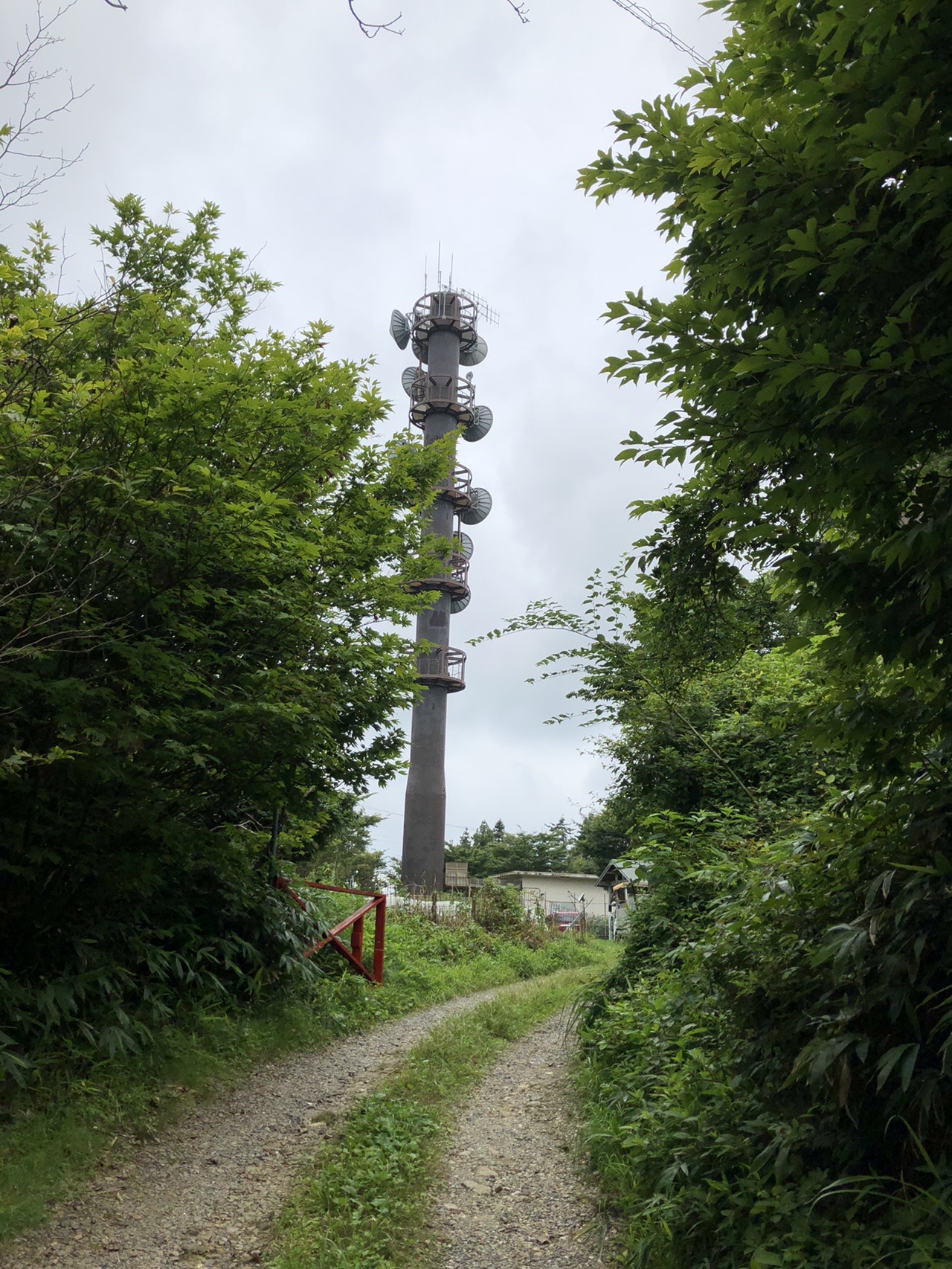 東海自然歩道 三国ウエスト農場 もんくーるさんの猿投山 物見山の活動日記 Yamap ヤマップ