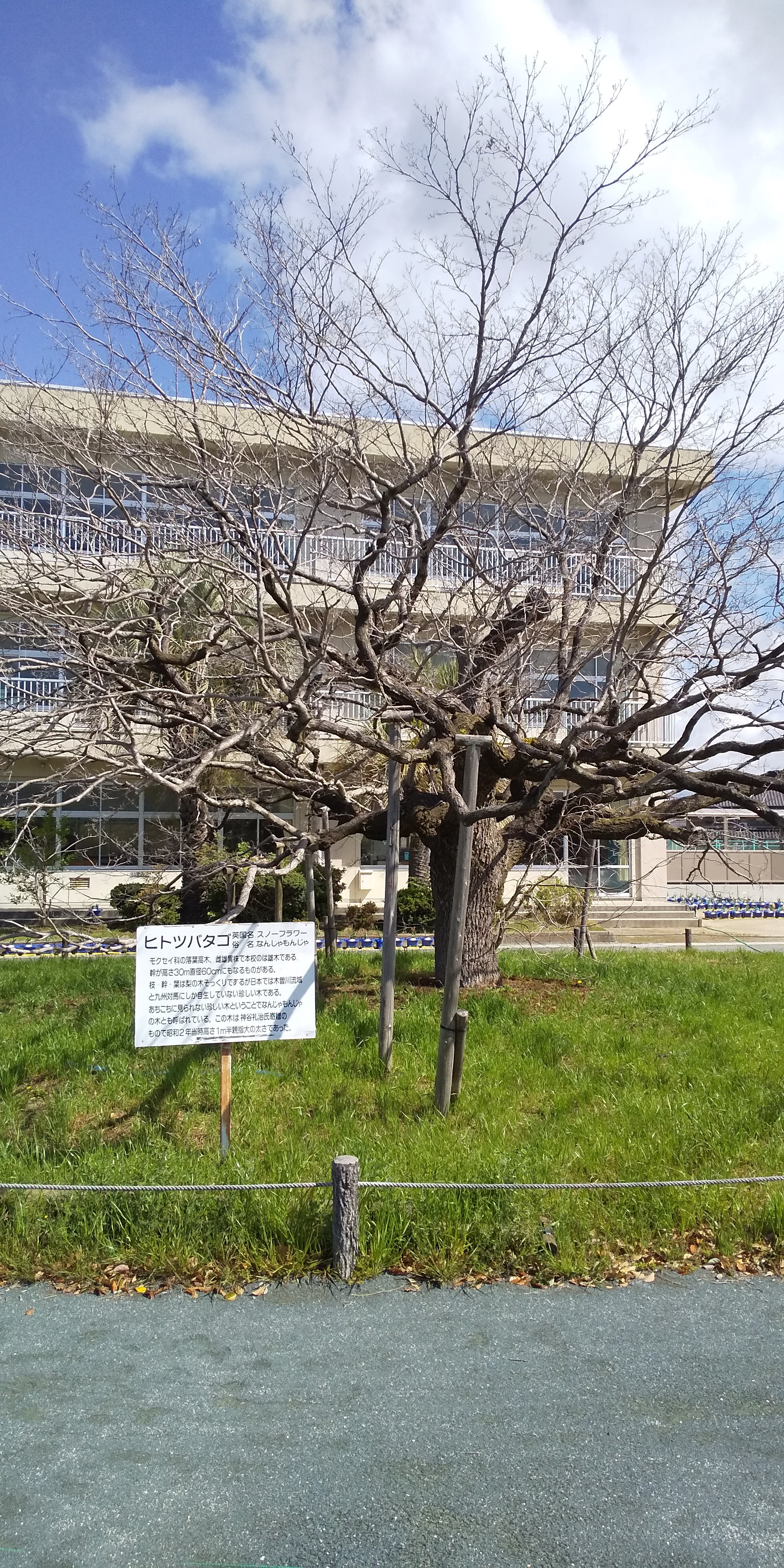 安城と知立の旧東海道を散策 04 19 Inopyonさんの東海道五十三次 岡崎宿 池鯉鮒宿 の活動日記 Yamap ヤマップ