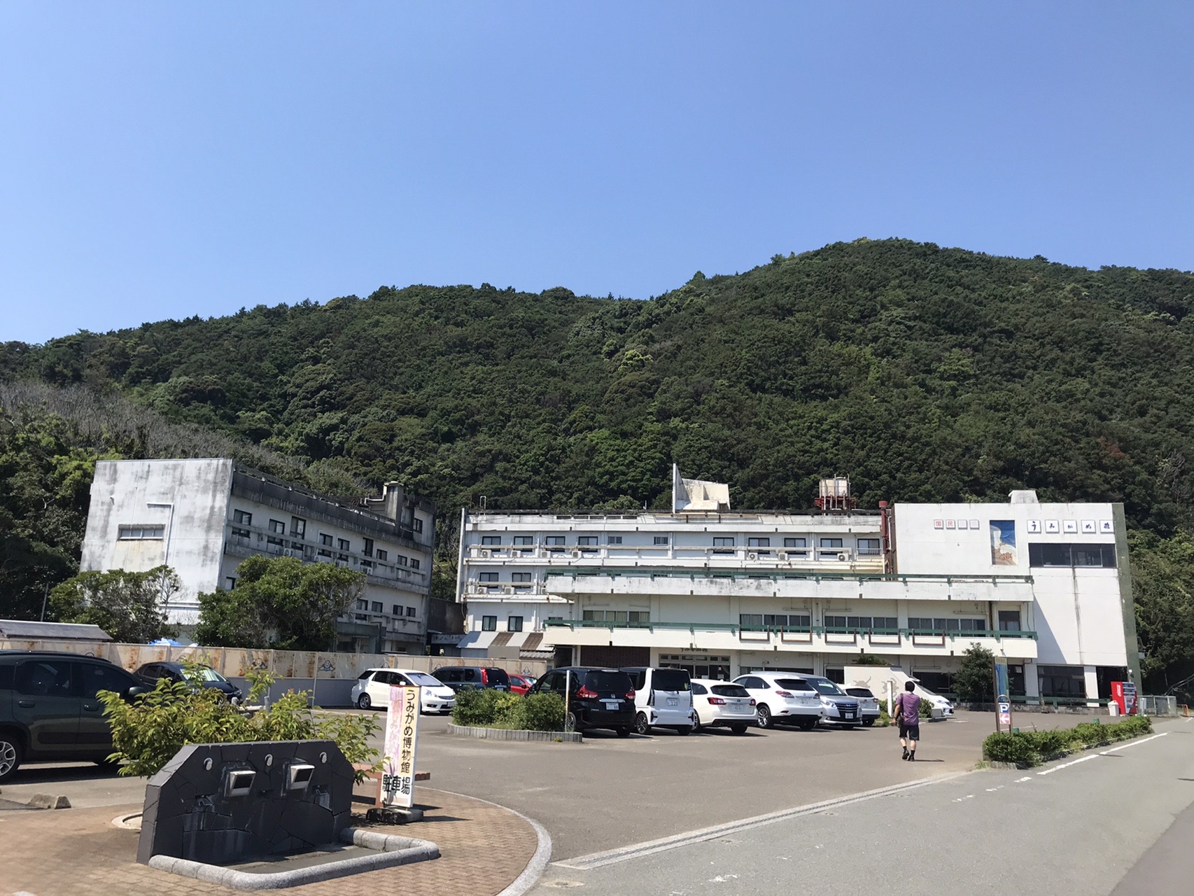 牟岐から室戸へ 海 魚 廃校 岬 Dmvの夏休み ふうすかさんの観光の活動日記 Yamap ヤマップ