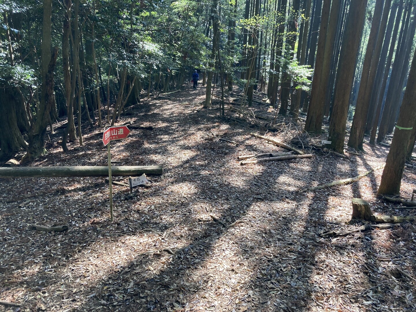 八雲峠さんの投稿したフィールドメモ YAMAP / ヤマップ