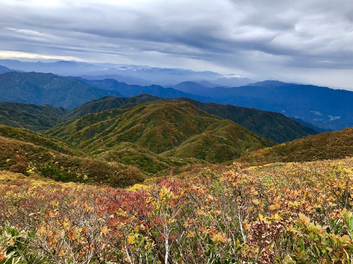 二王子岳にも秋の気配 / アオシさんの二王子岳の活動データ | YAMAP / ヤマップ