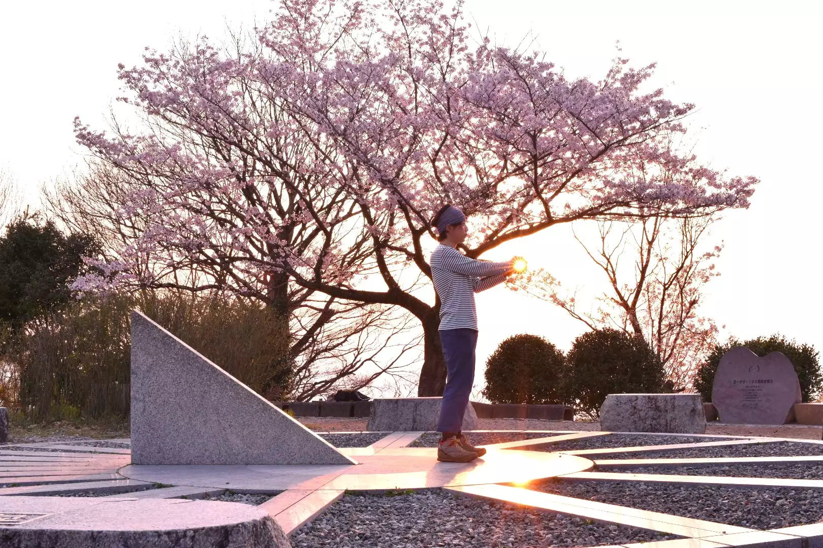 二上山 桜と日の出に 春を感じて いっしーさんの金剛山 二上山 大和葛城山の活動日記 Yamap ヤマップ