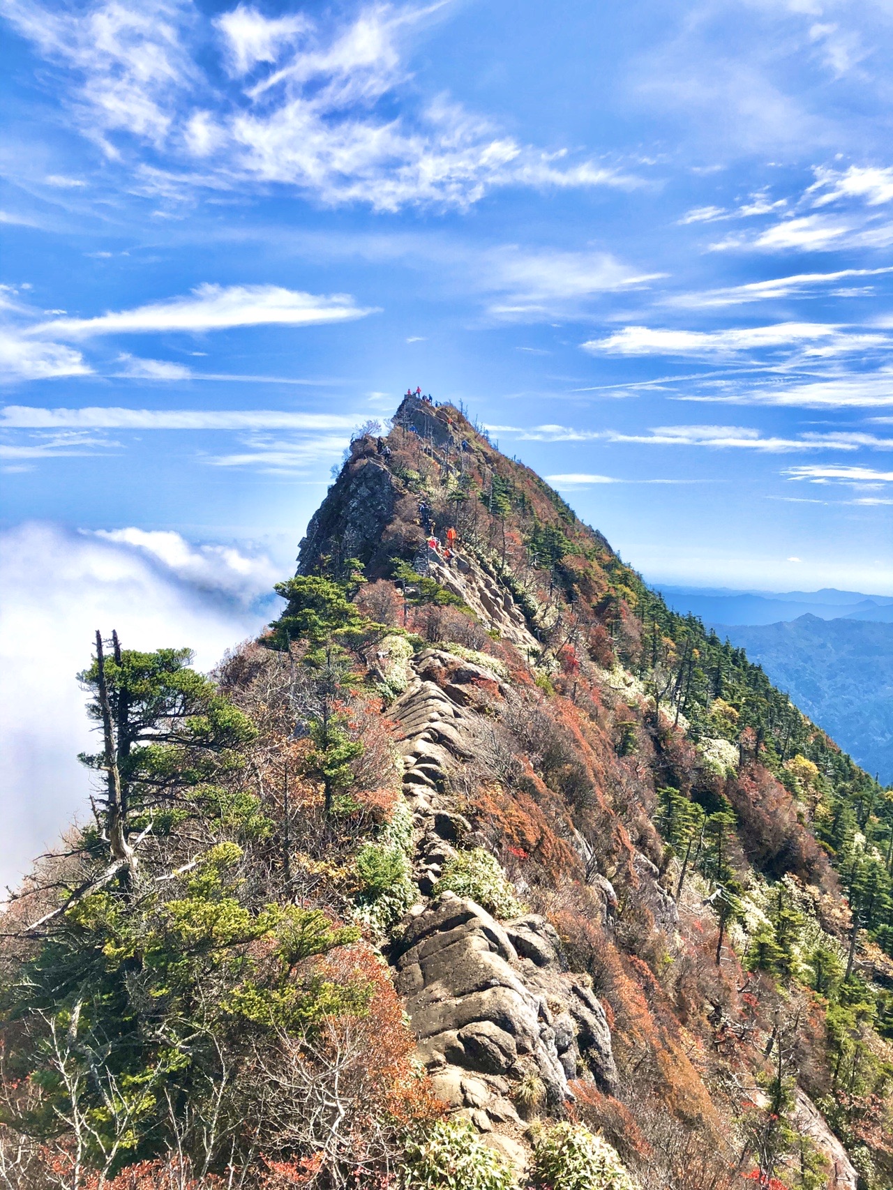 瓶ヶ森 石鎚山 紅葉 鎖場 愛媛弾丸遠征 まっつんさんの石鎚山 堂ヶ森 二ノ森の活動日記 Yamap ヤマップ