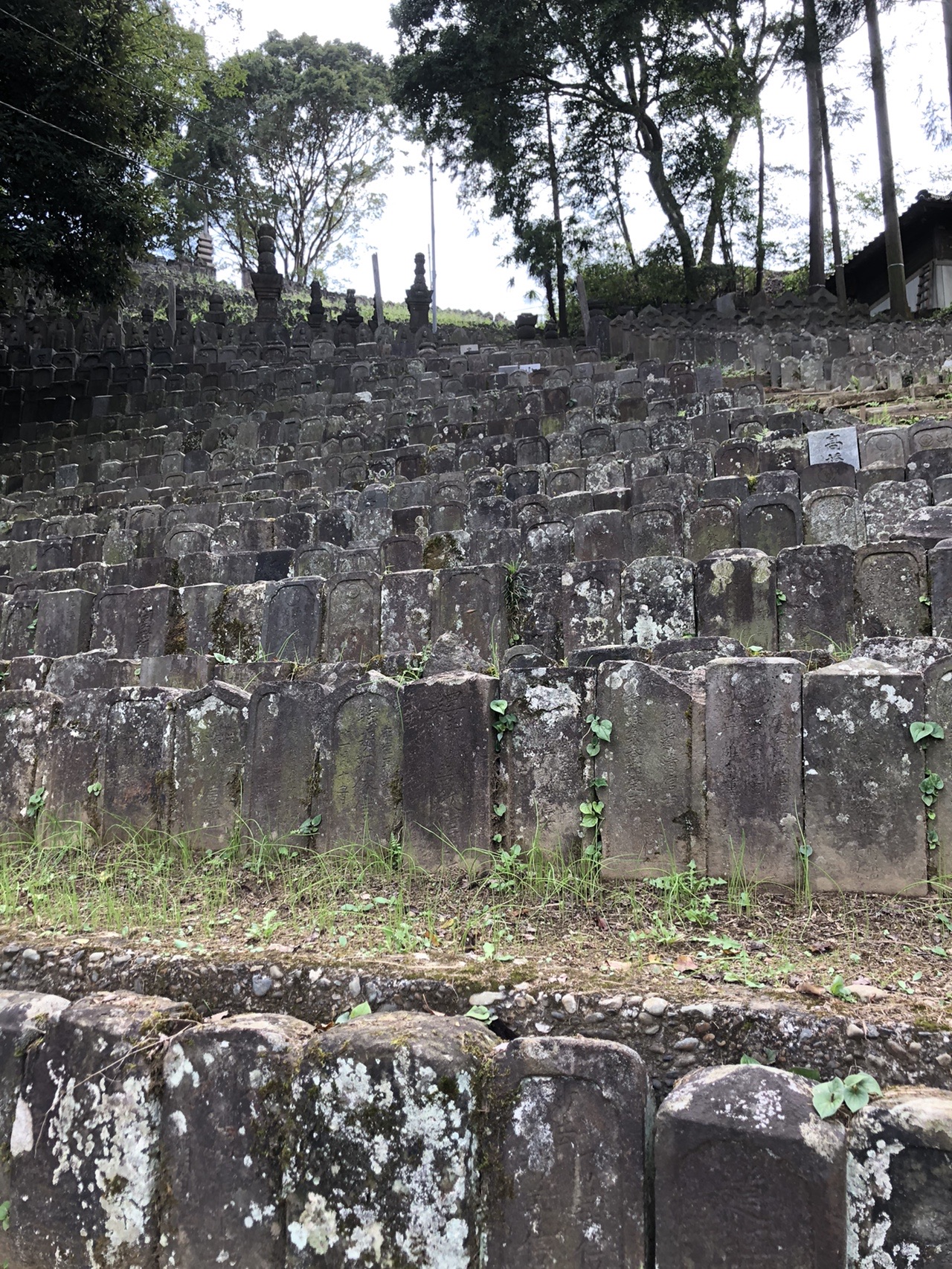 ありがた山 えいちさんの多摩 湘南の活動データ Yamap ヤマップ