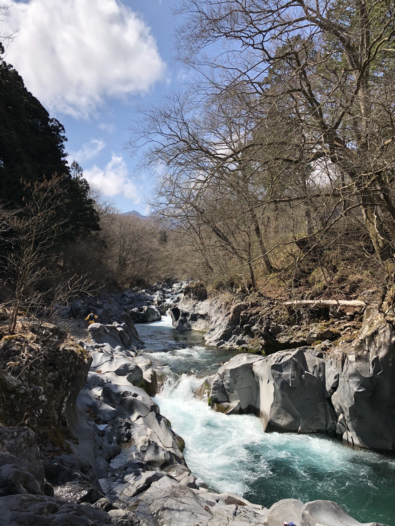 鳴虫山 04 05 れんさんの鳴虫山 火戸尻山の活動データ Yamap ヤマップ