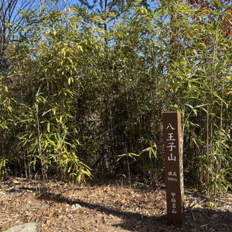 あとは下山
ここからの下りは気をつけないと