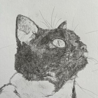 Dr. Strangelove🐈‍⬛