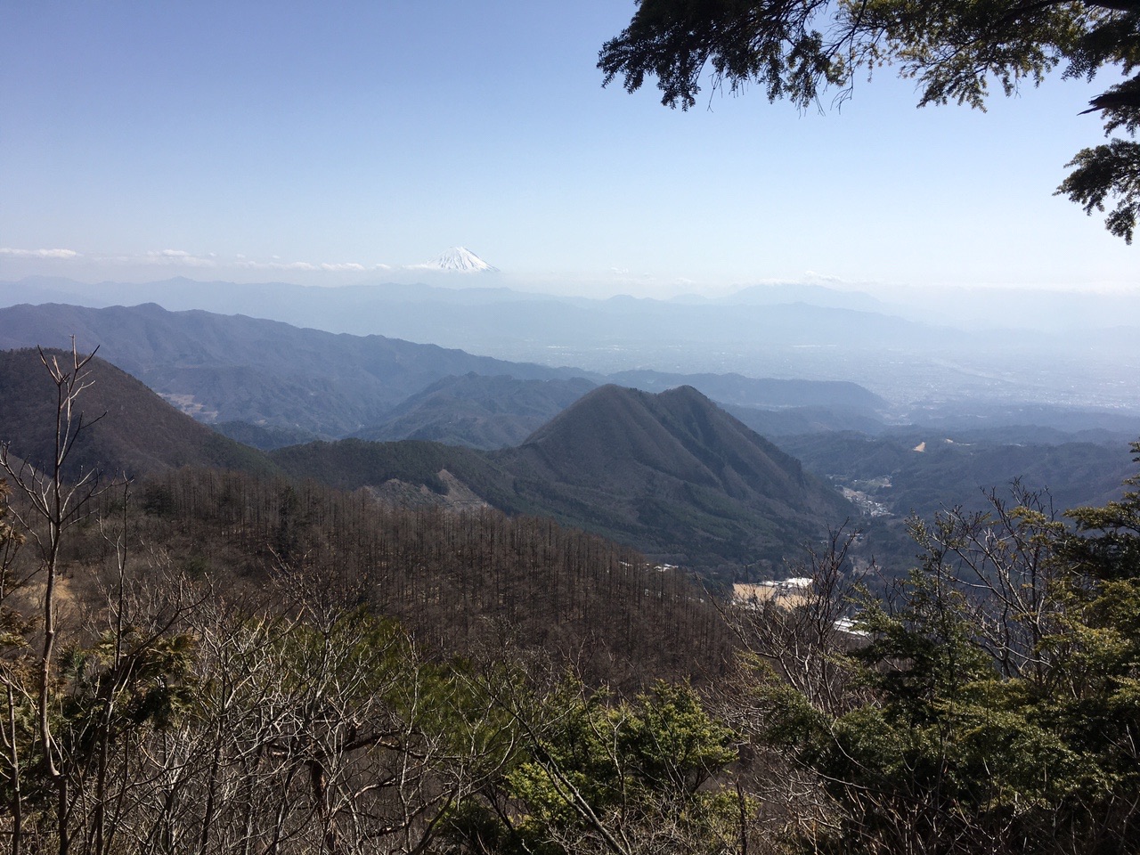 南峰 太刀岡山 鬼頬山 黒富士 升形山 曲岳 しまネコさんの茅ヶ岳 金ヶ岳 太刀岡山の活動データ Yamap ヤマップ