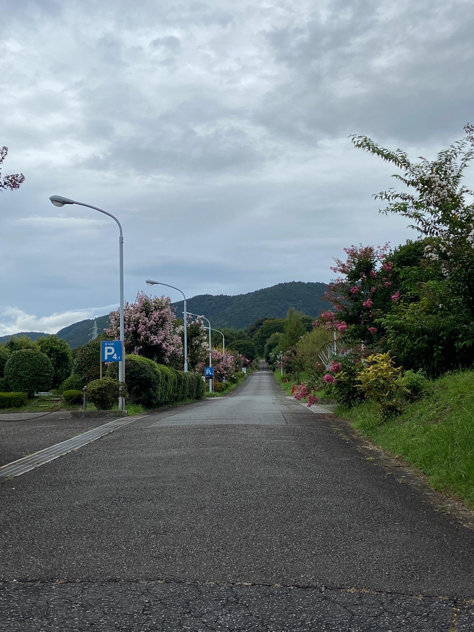 吾妻山 / goqooさんの八国見山・頭高山の活動データ | YAMAP / ヤマップ