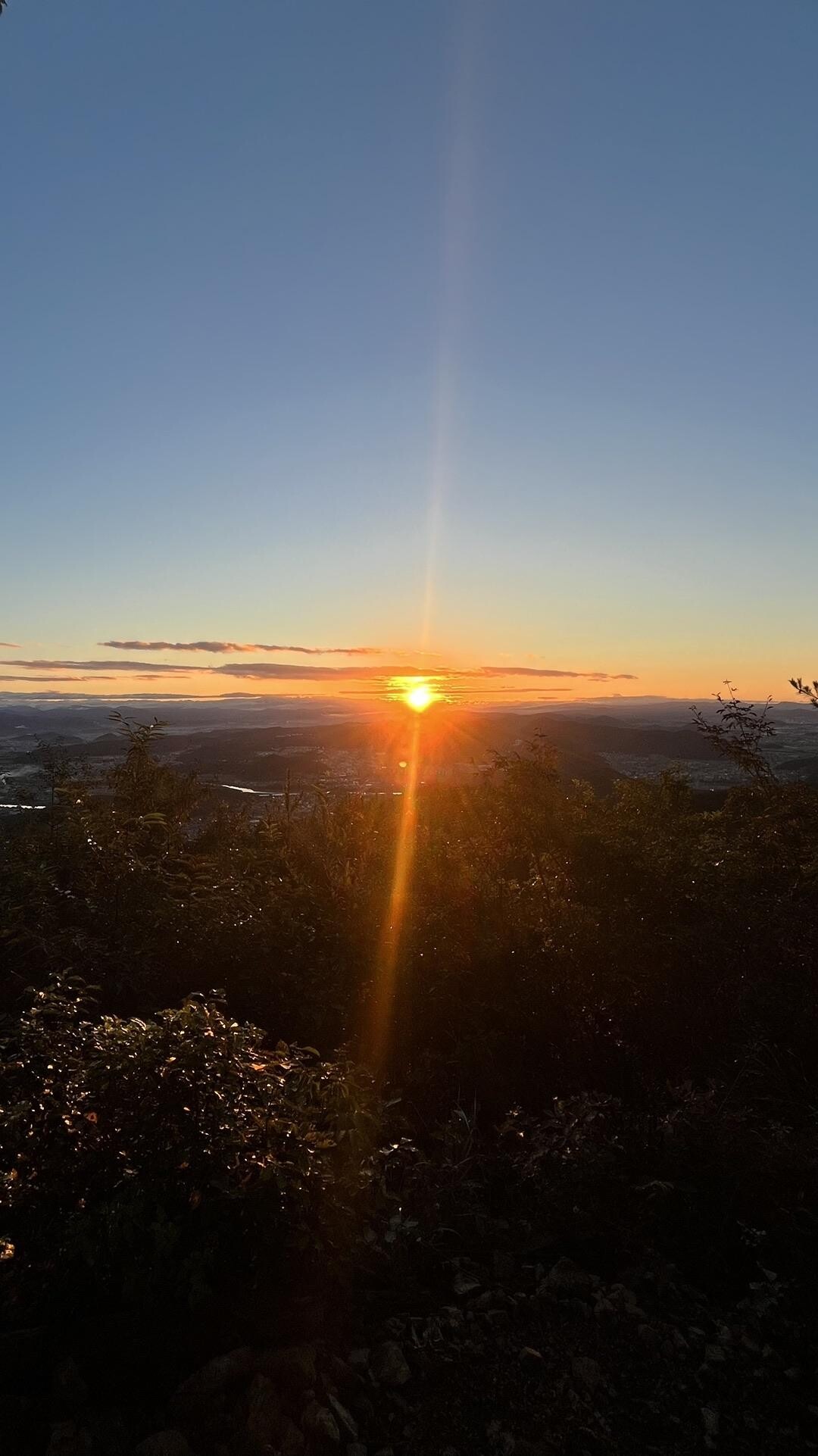 今朝の百々ヶ峰(岐阜市最高峰) なんと半... / 中年太りさんのモーメント YAMAP / ヤマップ