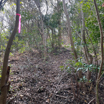 飯塚市 ピンテを外さないようにすべし。