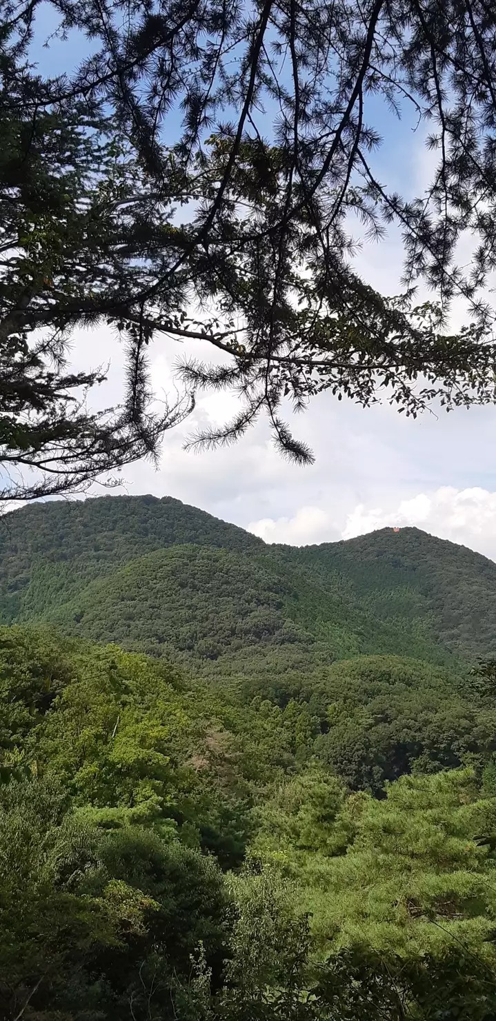 吾妻山 群馬県桐生市 群馬 の山総合情報ページ 登山ルート 写真 天気情報など Yamap ヤマップ