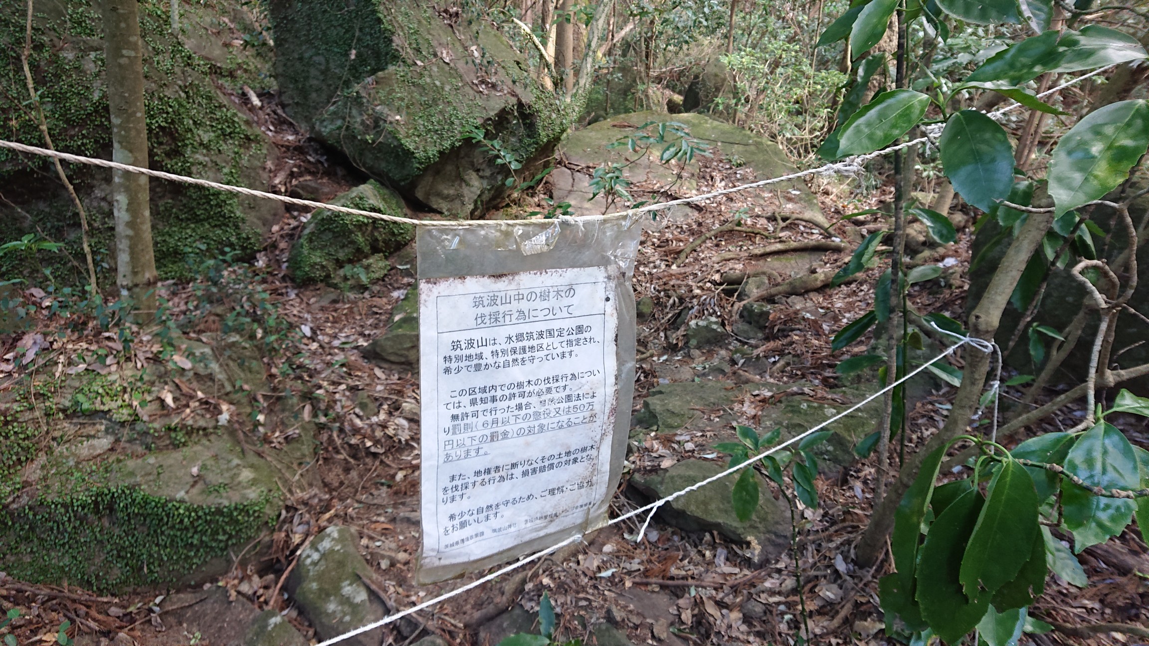 筑波山探検シリーズ１ 屏風岩コース 山頂直登コース編 02 11 らん坊さんの筑波山の活動日記 Yamap ヤマップ