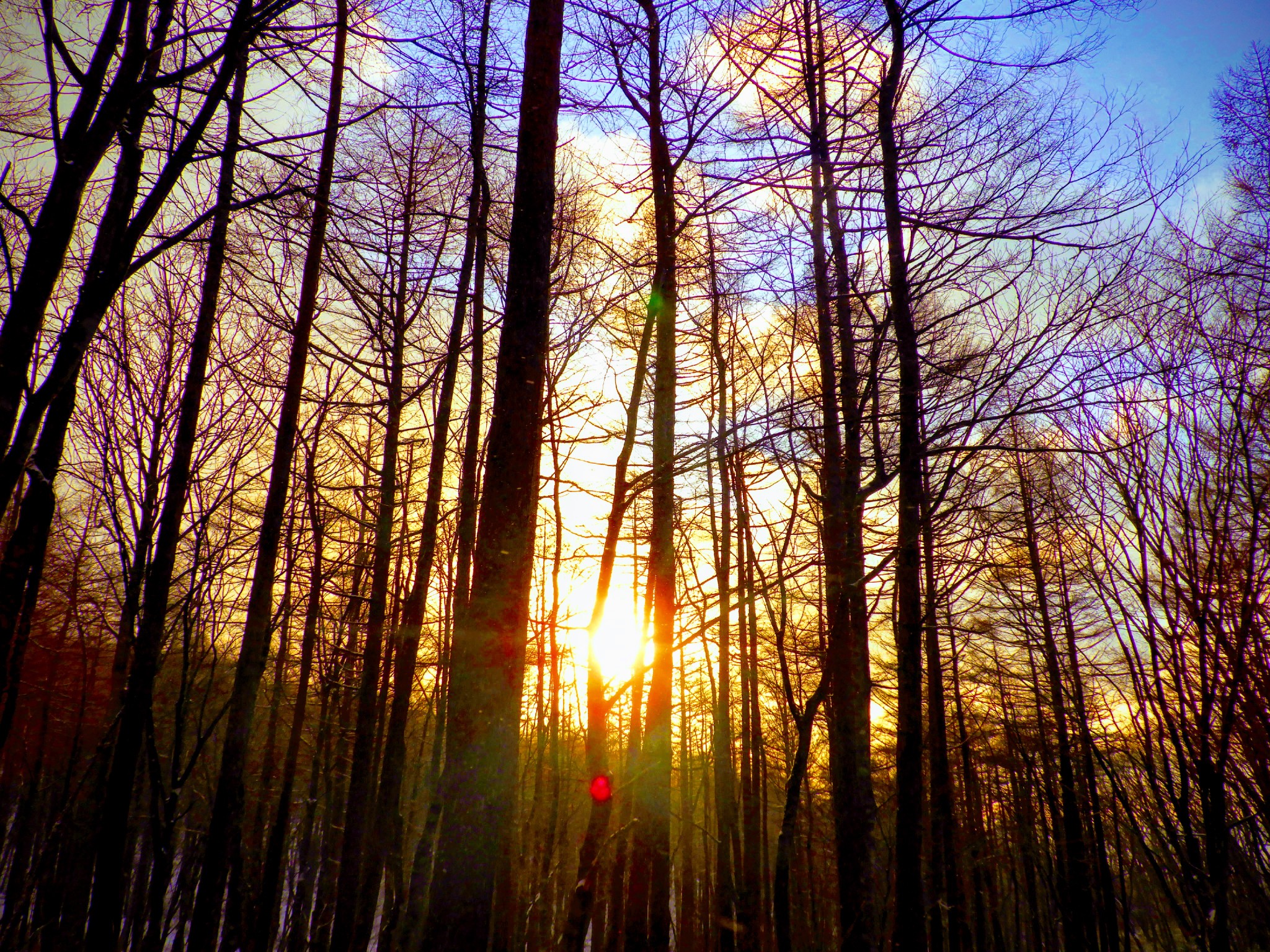 泉ヶ岳 初日の出登山 01 01 Kuniさんの船形山 御所山 泉ヶ岳 蛇ヶ岳の活動データ Yamap ヤマップ