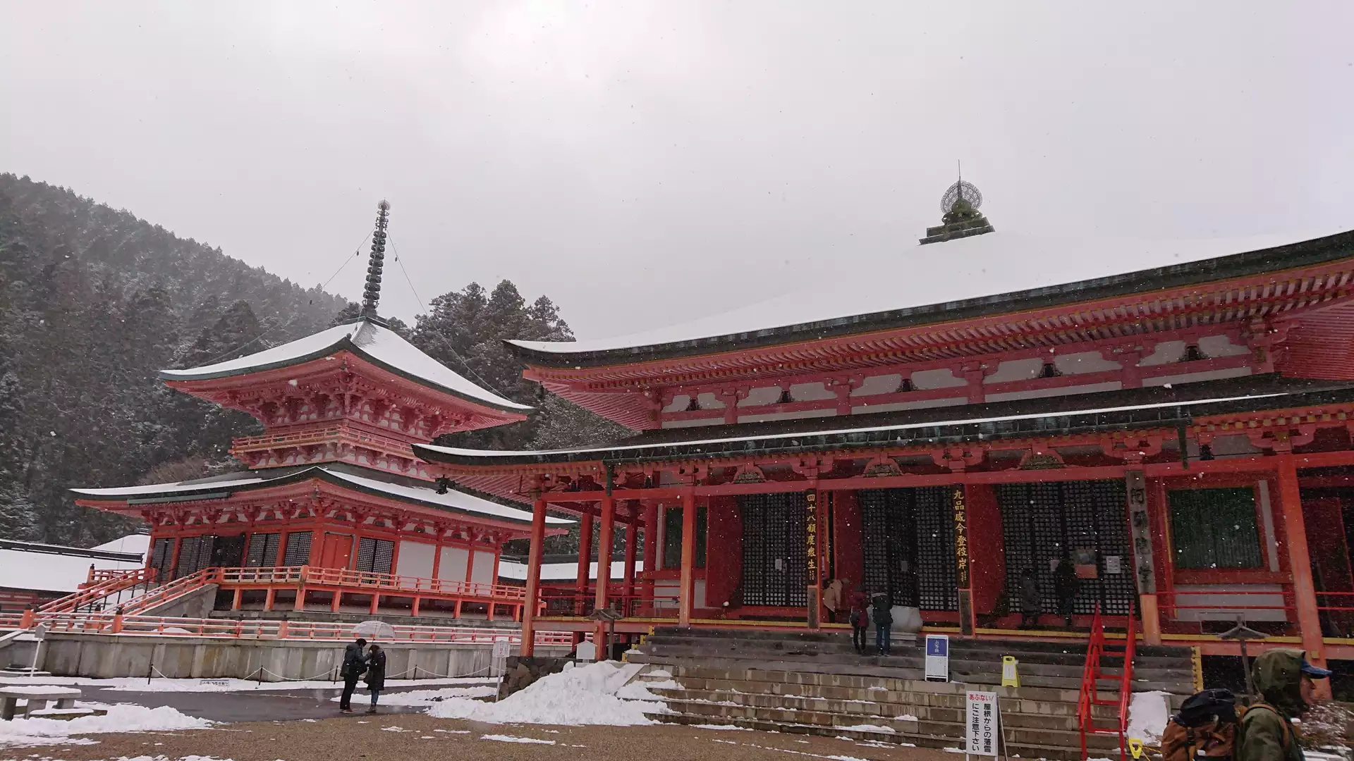 滋賀山楽女子会 ２月は雪の比叡山 Takechanさんの比叡山 横高山 大尾山の活動データ Yamap ヤマップ