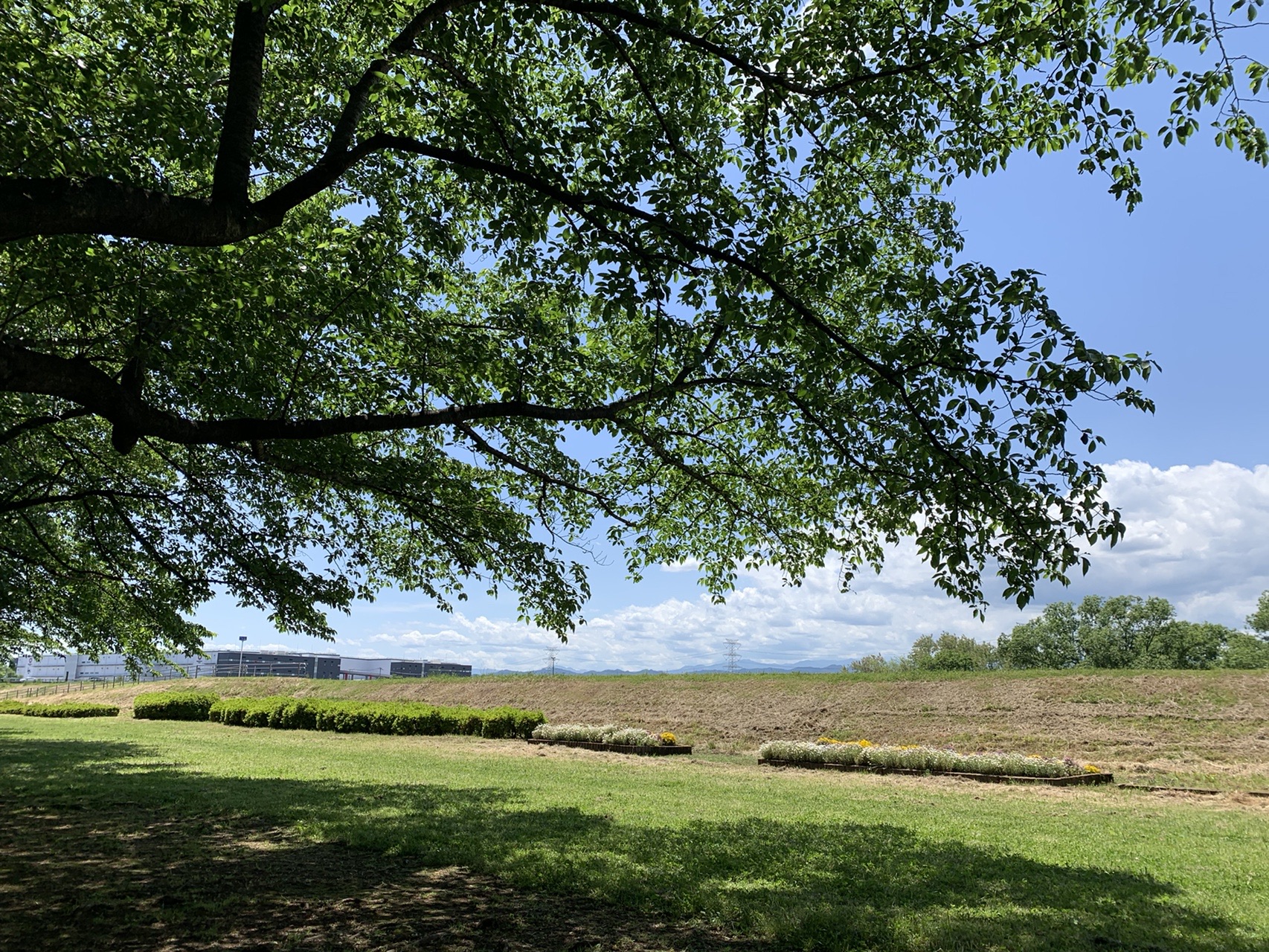 北坂戸駅経由高麗川ふるさと遊歩道 あヒロさんの坂戸市 鶴ヶ島市の活動日記 Yamap ヤマップ