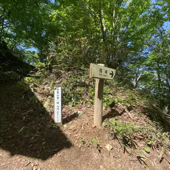 お社の裏手に青葉山東峰山頂693mの標識がありました。

いよいよここから先に楽しみいっぱいあるんです😊ワクワクします💕