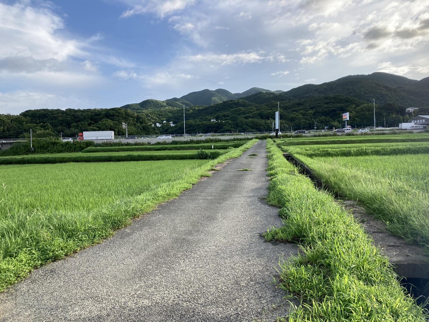 久しぶりの畦道散歩🚶 季節は夏へ 稲は... / arisaさんのモーメント | YAMAP / ヤマップ