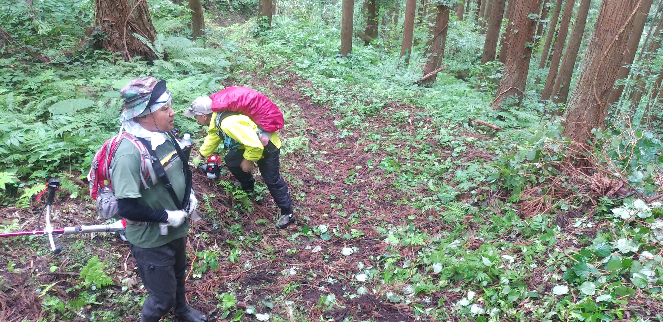 茂谷山 / じゅんさんの白地山の活動データ YAMAP / ヤマップ