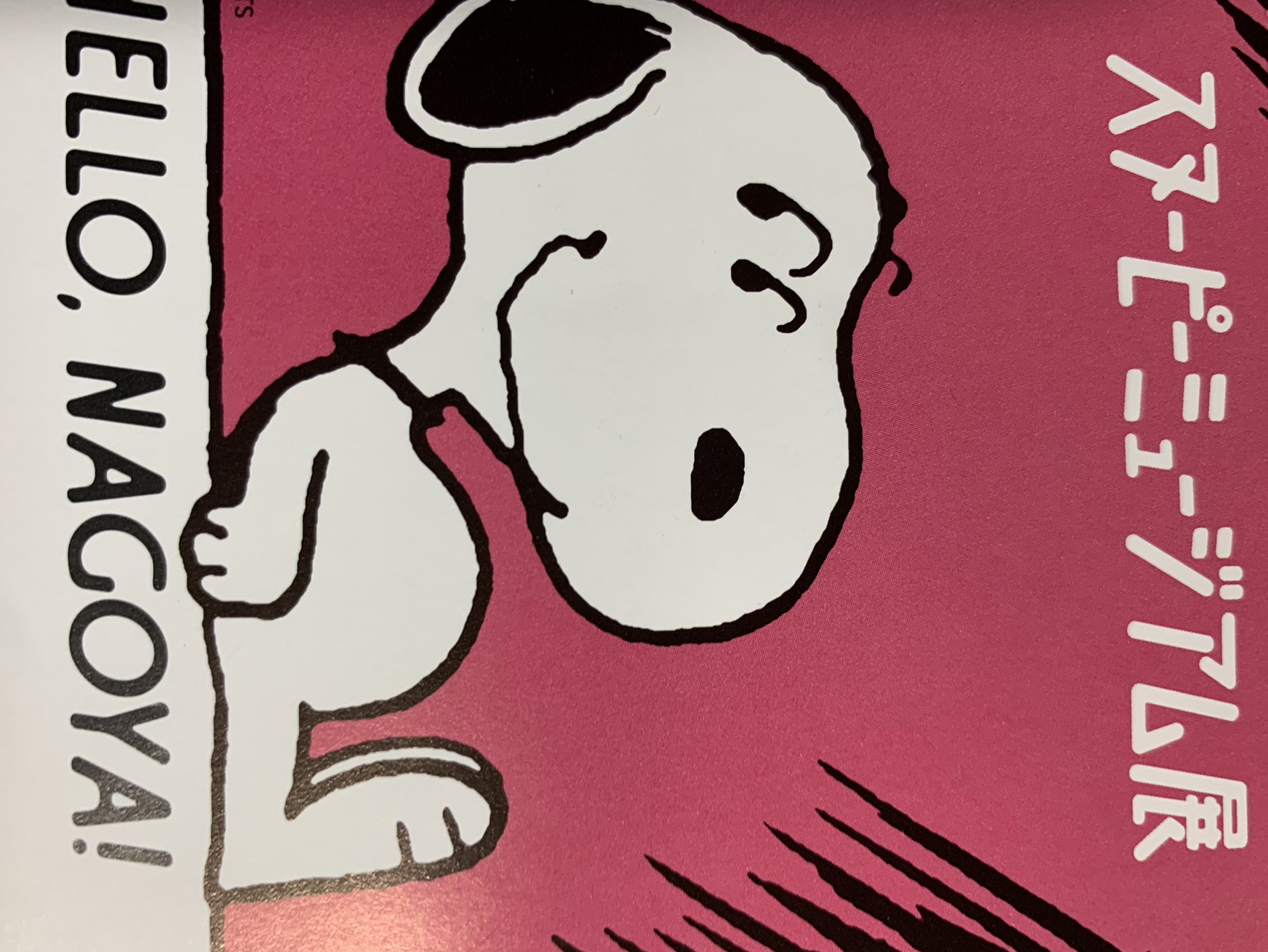 大人の遠足 御褒神社とスヌーピーミュージアム展 Fukufukuさんの中山道 加納宿 美江寺宿 の活動日記 Yamap ヤマップ