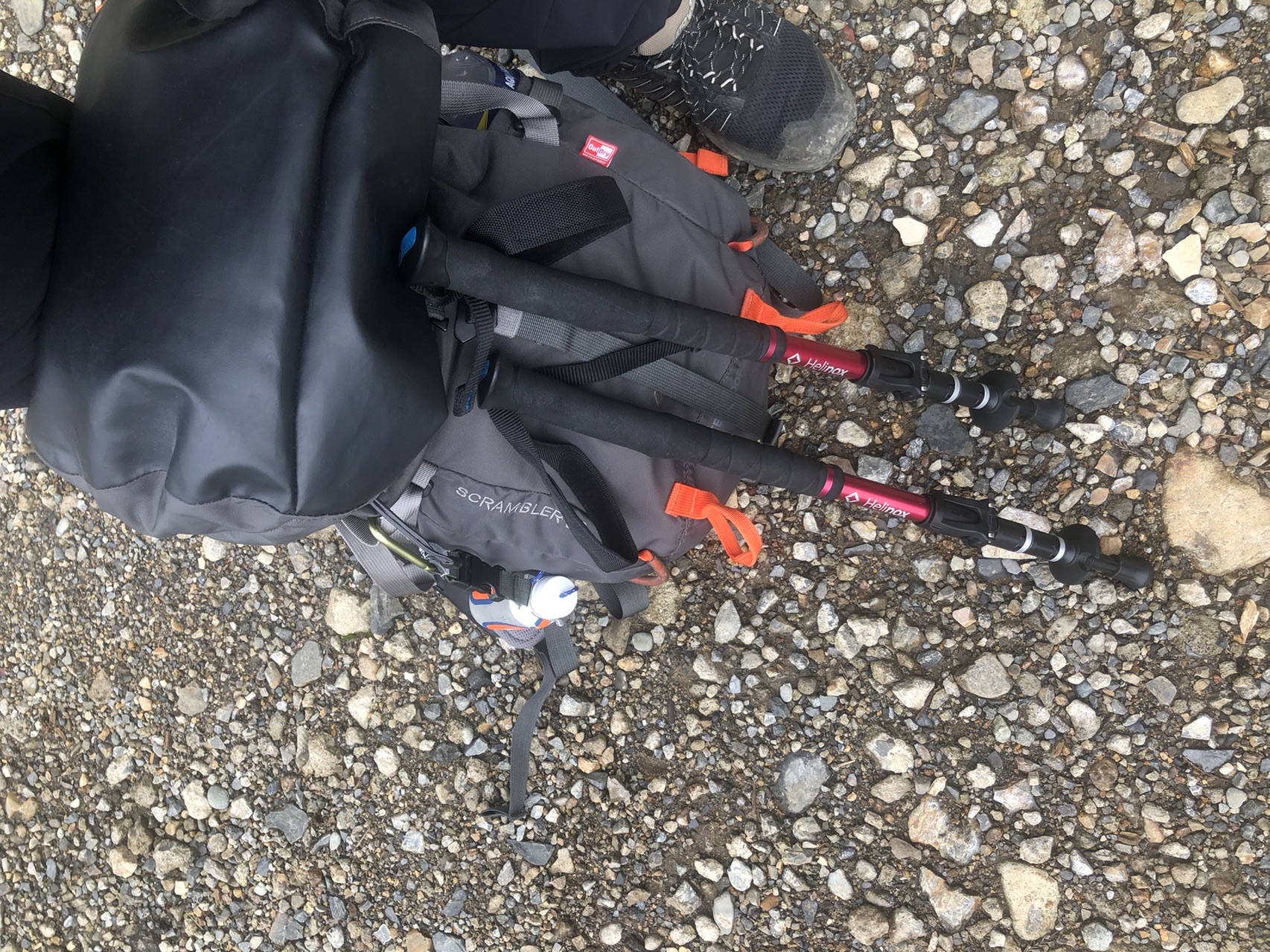 プクプクギンリョウソウ 鳥屋山 蝶野さんの古賀志山 赤岩山 鞍掛山 男抱山 半蔵山の活動日記 Yamap ヤマップ