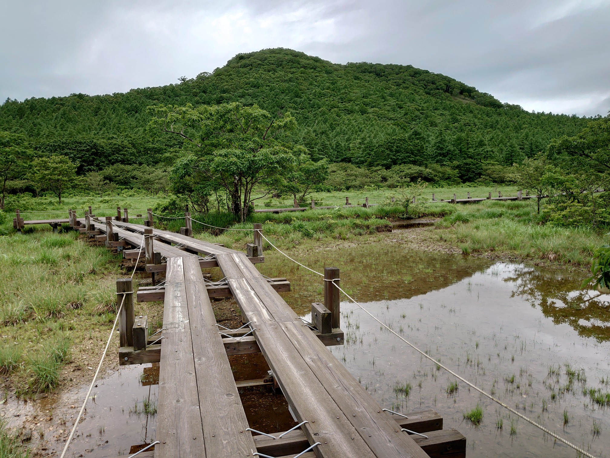 沼原湿原ｱﾚｯ 鬼が面山ﾄﾞｺ ハイジさんの茶臼岳 那須岳 三本槍岳 赤面山の活動データ Yamap ヤマップ