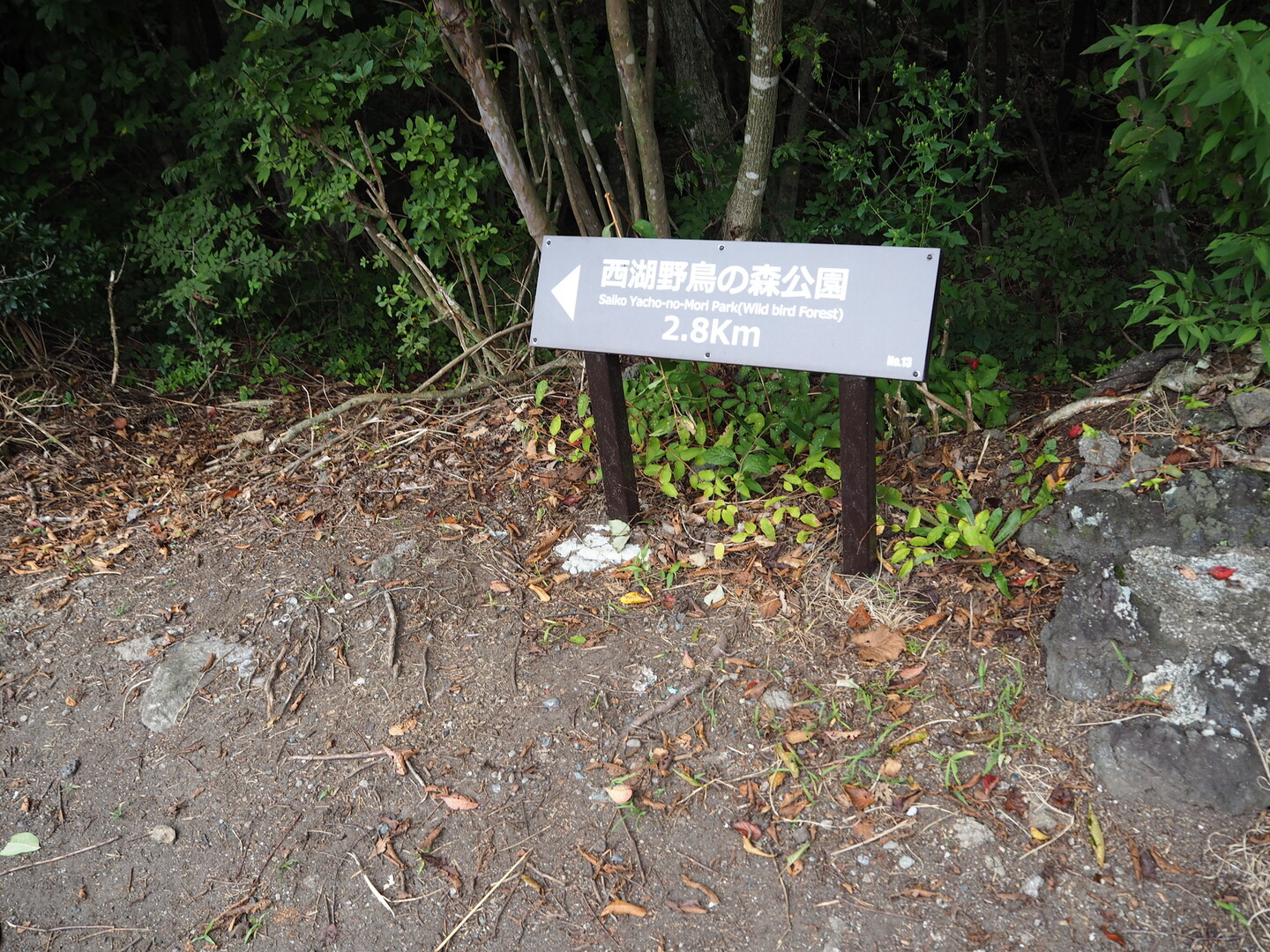 青木ヶ原樹海 散策 富岳風穴 青木ヶ原樹海 野鳥の森公園 紅葉台 鳴沢氷穴 富岳風穴 鳴沢村の写真3枚目 ということで 道路を渡って駐車場の Yamap ヤマップ