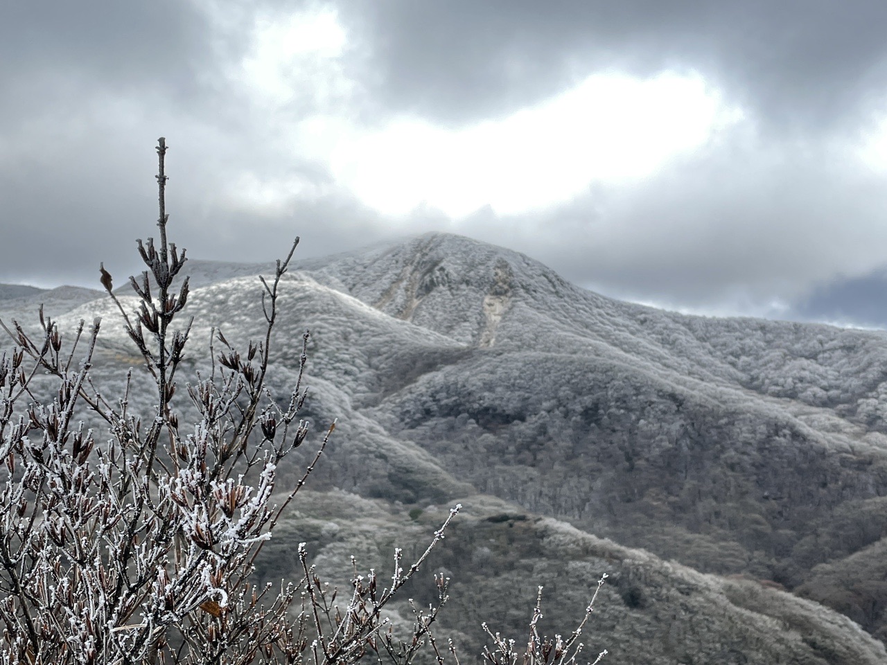 牧ノ戸峠 久住山 往復コースの地図 登山ルート 登山口情報 Yamap ヤマップ