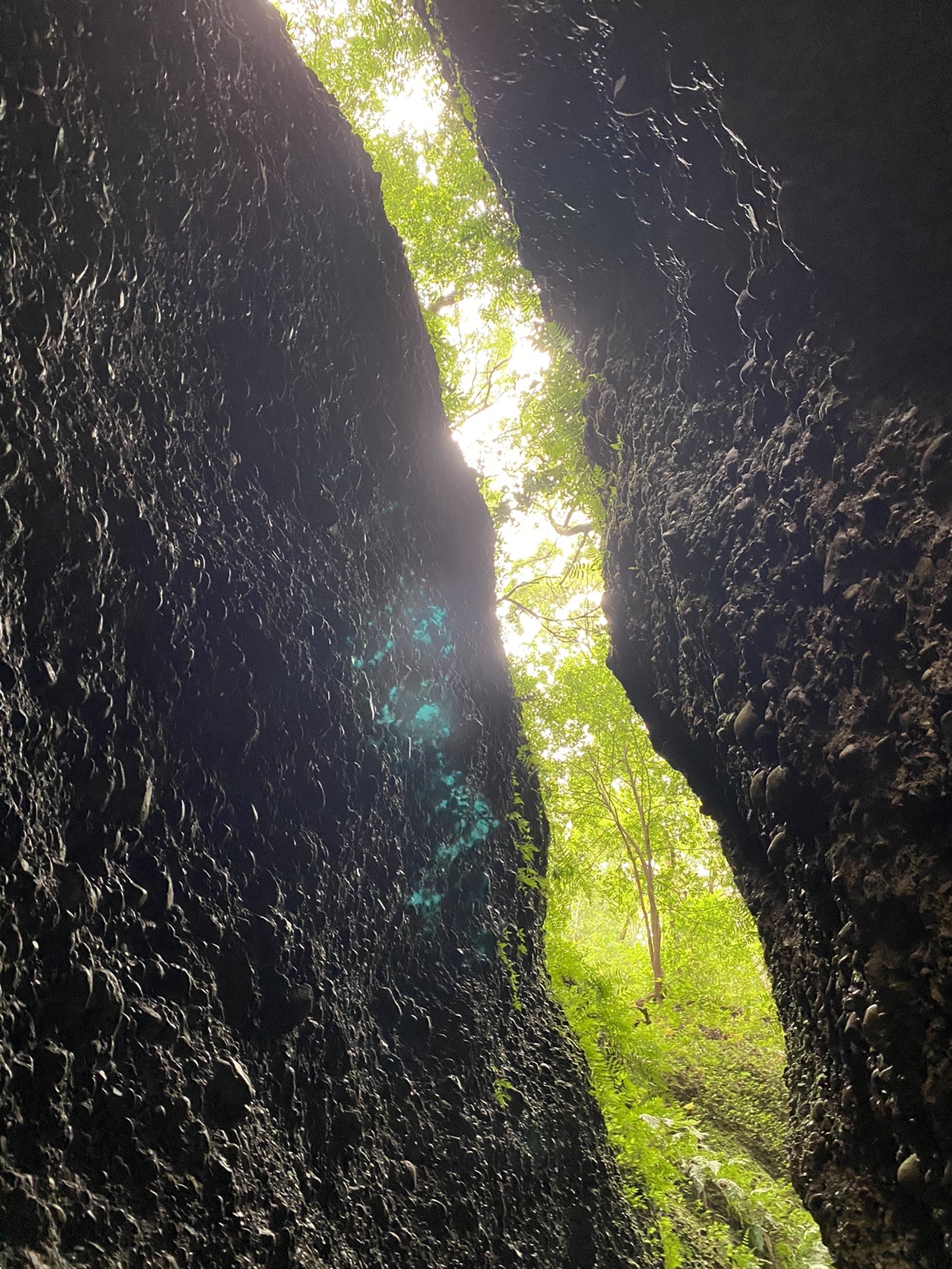 小笠山 六枚屏風 うなぎパイちゃんさんの小笠山の活動データ Yamap ヤマップ