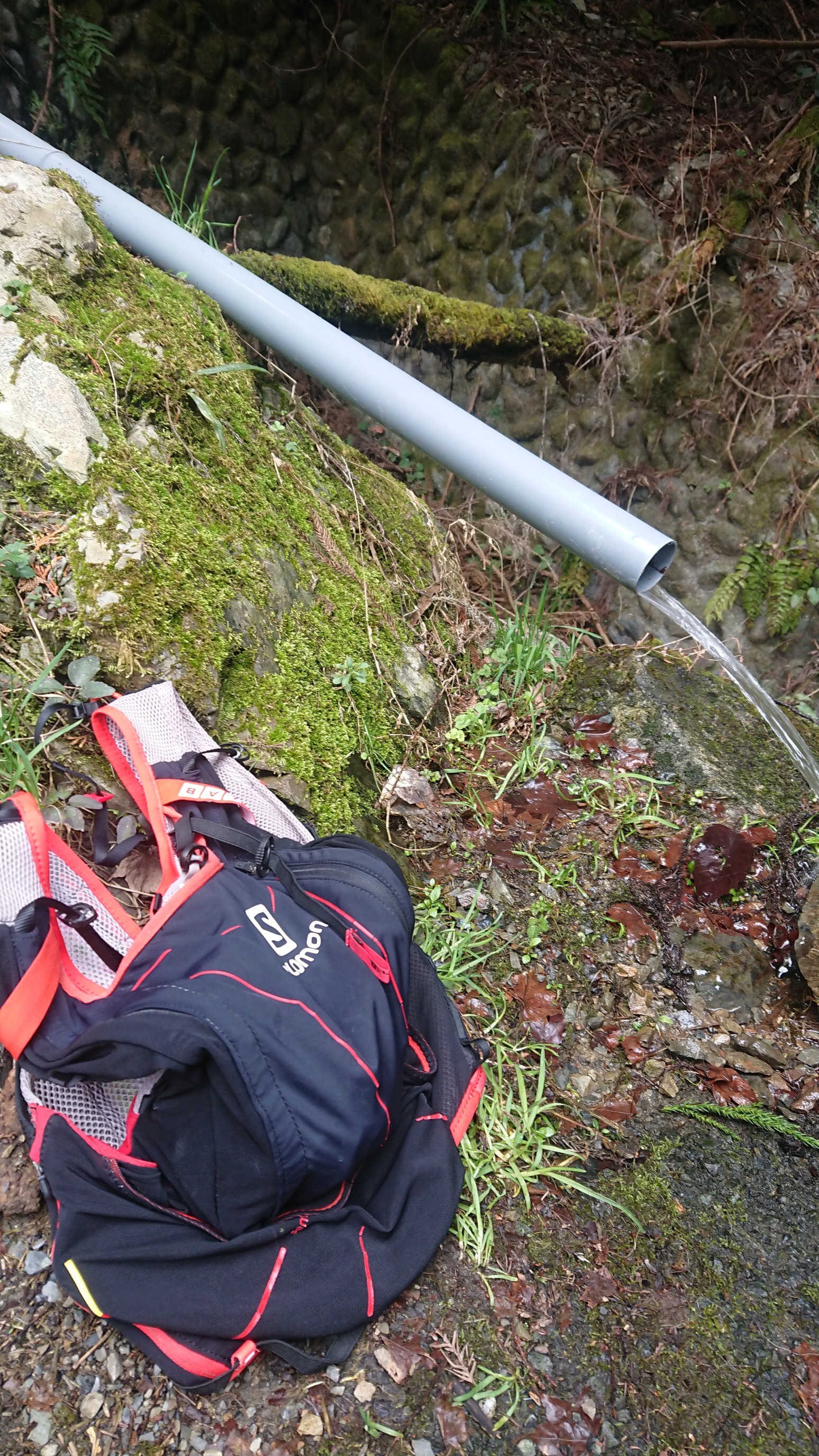 ハセツネコース周辺 初トレイルラン 19 03 10 Gaku34さんのハセツネcup 日本山岳耐久レース 71 5kmコース の活動データ Yamap ヤマップ