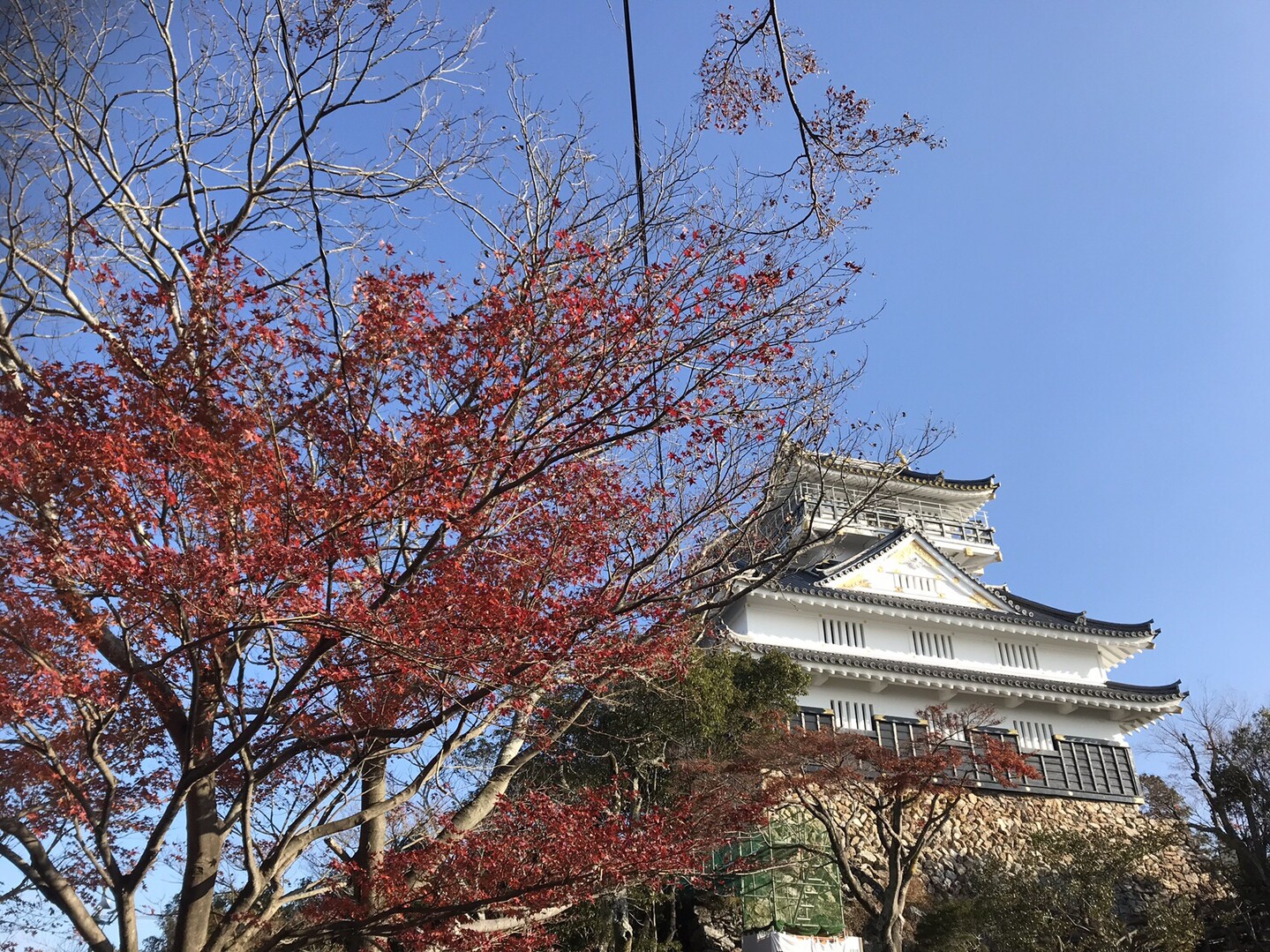 ご来光 と金色の岐阜城 を見に 173さんの金華山 岐阜県 洞山 舟伏山の活動日記 Yamap ヤマップ