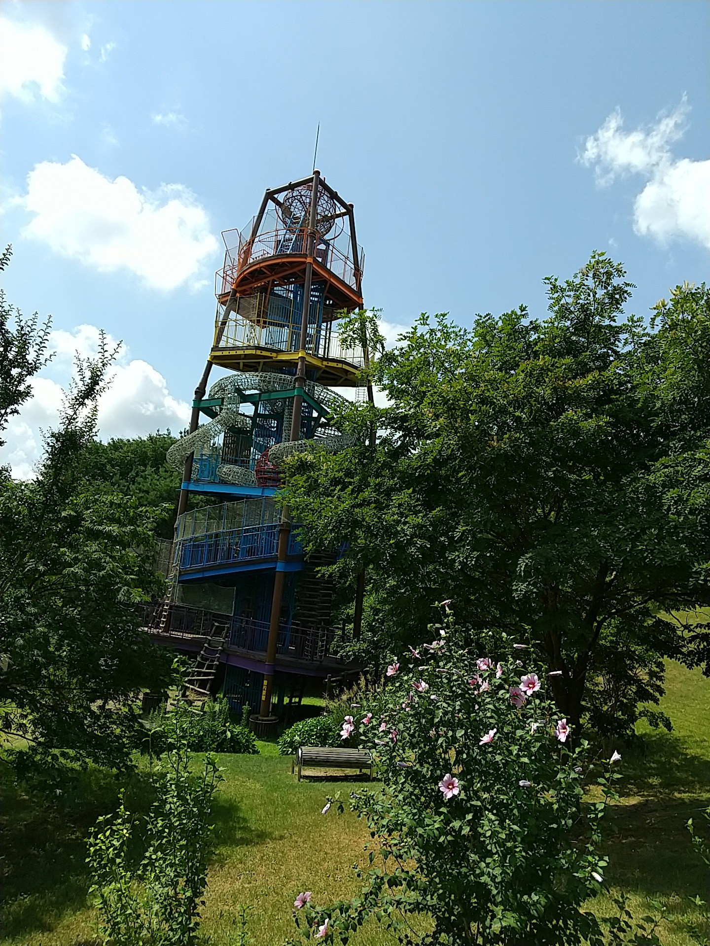 秋田県立中央公園フィールドアスレチック 白猫さんのウォーキングの活動データ Yamap ヤマップ