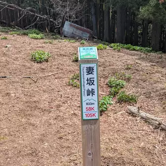 武川岳から激下りしてここから大持山への登山道が始まります