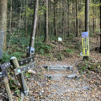 宝登山北登山口から入場します