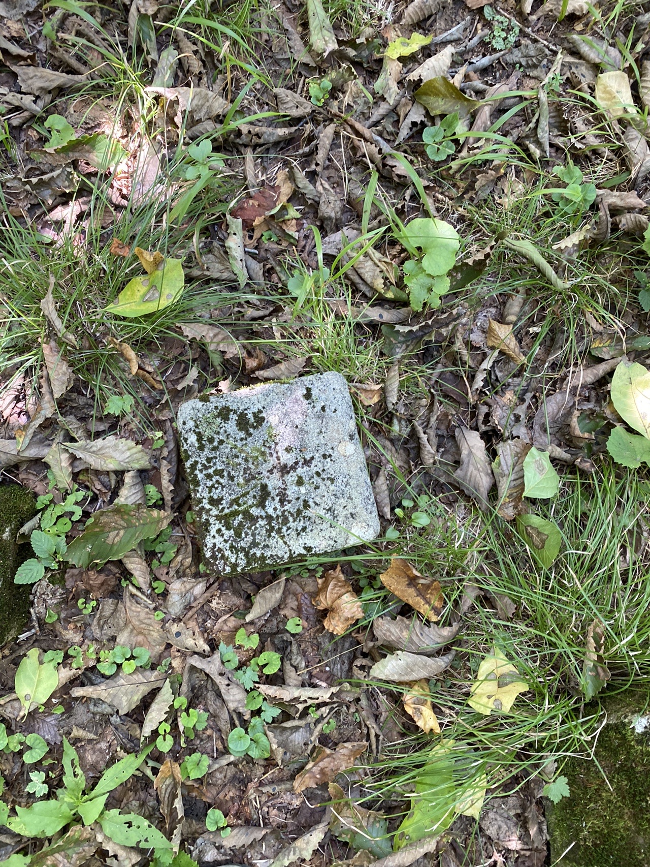 気無山 笹積山 Egretさんの気無山 笹積山の活動データ Yamap ヤマップ