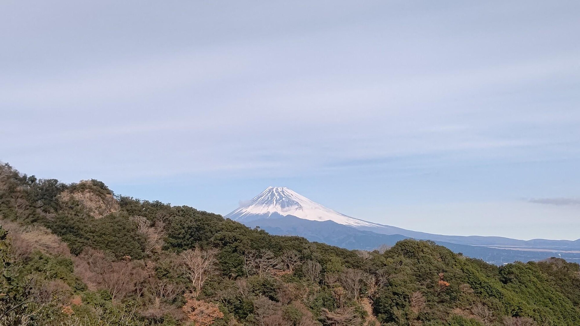 鷲頭山・小鷲頭山・志下山・象の背・徳倉山・横山・香貫山 / Reerieさんの沼津アルプス・鷲頭山・香貫山の活動データ YAMAP / ヤマップ