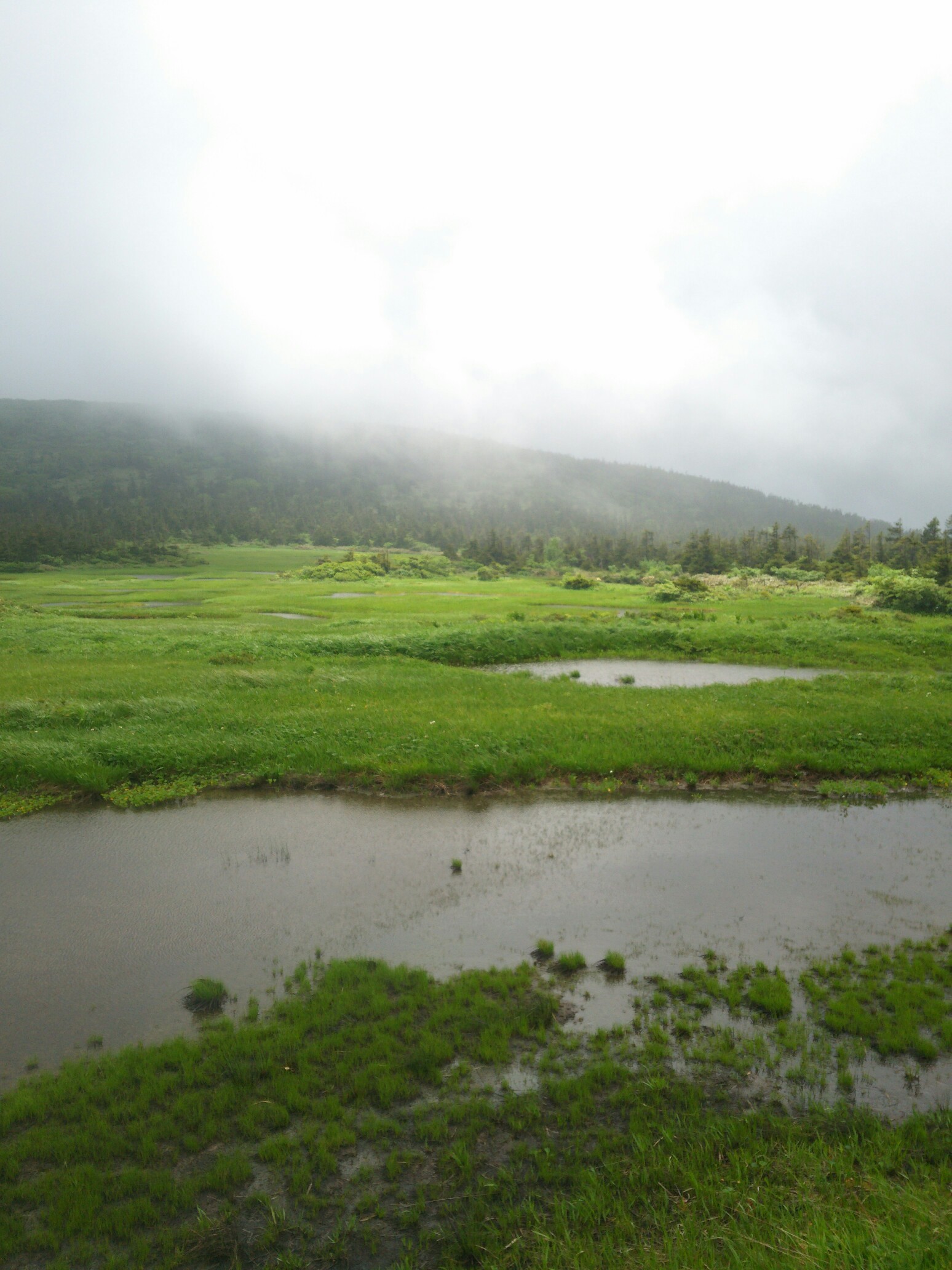 乳頭山 千沼ヶ原 ジャックさんの乳頭山 湯森山 大白森の活動データ Yamap ヤマップ
