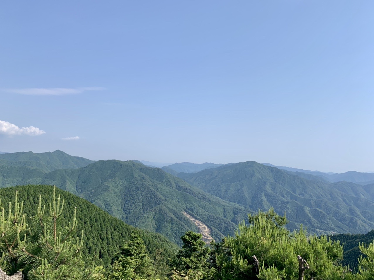 野道山 三ツヶ峰 三ツ頭 高岳山 ふくちゃんさんの野道山 三ツヶ峰の活動データ Yamap ヤマップ