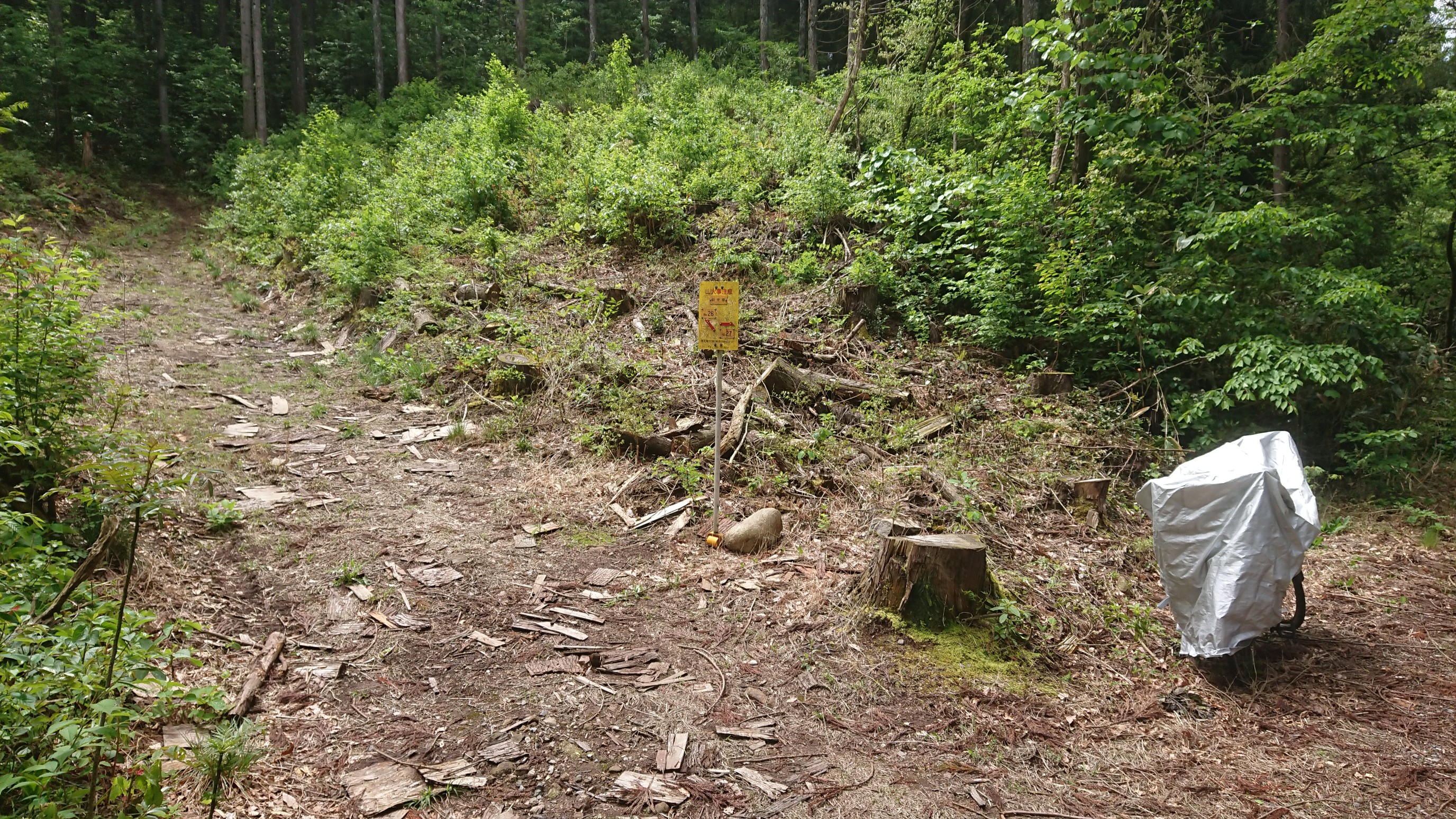 木六山・銀次郎山 鉄塔巡視道分岐
登りやすいところから入るしか
H130の尾根筋まで踏み跡が見つかりません