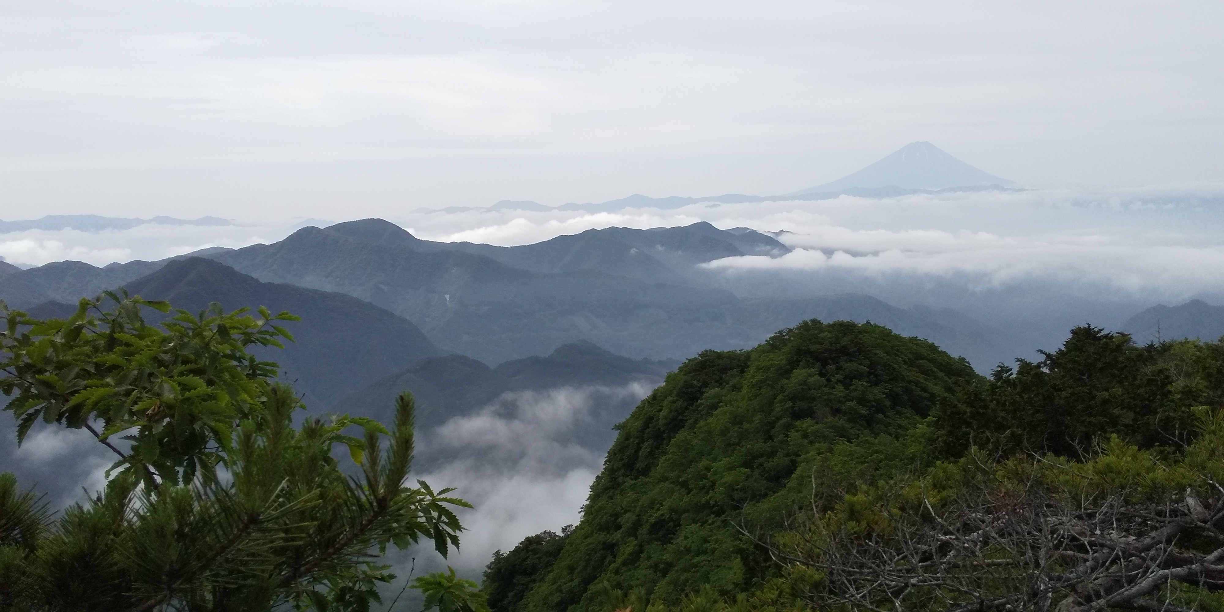 太刀岡山 鬼頬山 黒富士 升形山 曲岳 金ヶ岳 茅ヶ岳を巡る 2020 6 27 なんずのやまさんの茅ヶ岳 金ヶ岳 太刀岡山の活動日記 Yamap ヤマップ