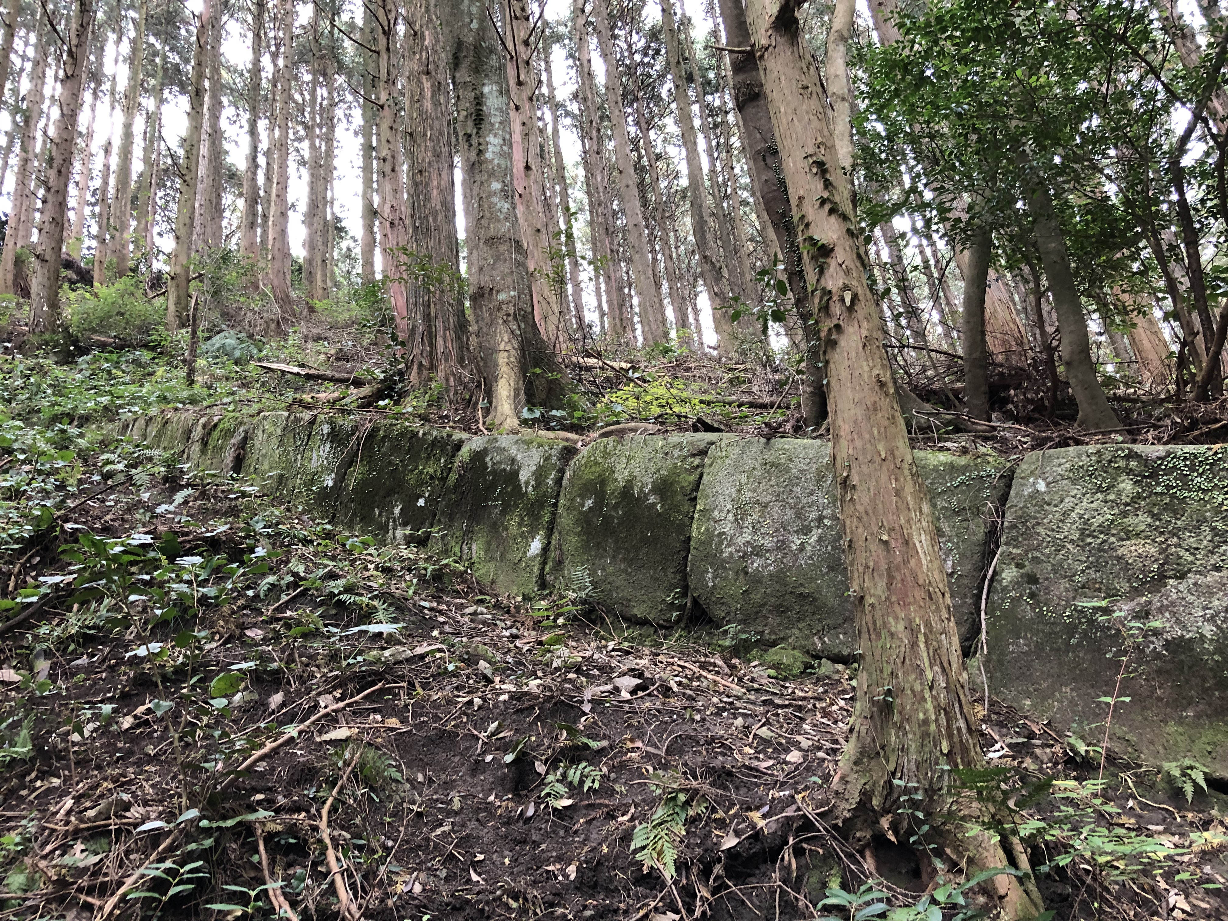 198 雷山神籠石へ 筑前前原sta 雷山神籠石 うぉーきんぐさんの糸島三都110キロウォークの活動データ Yamap ヤマップ