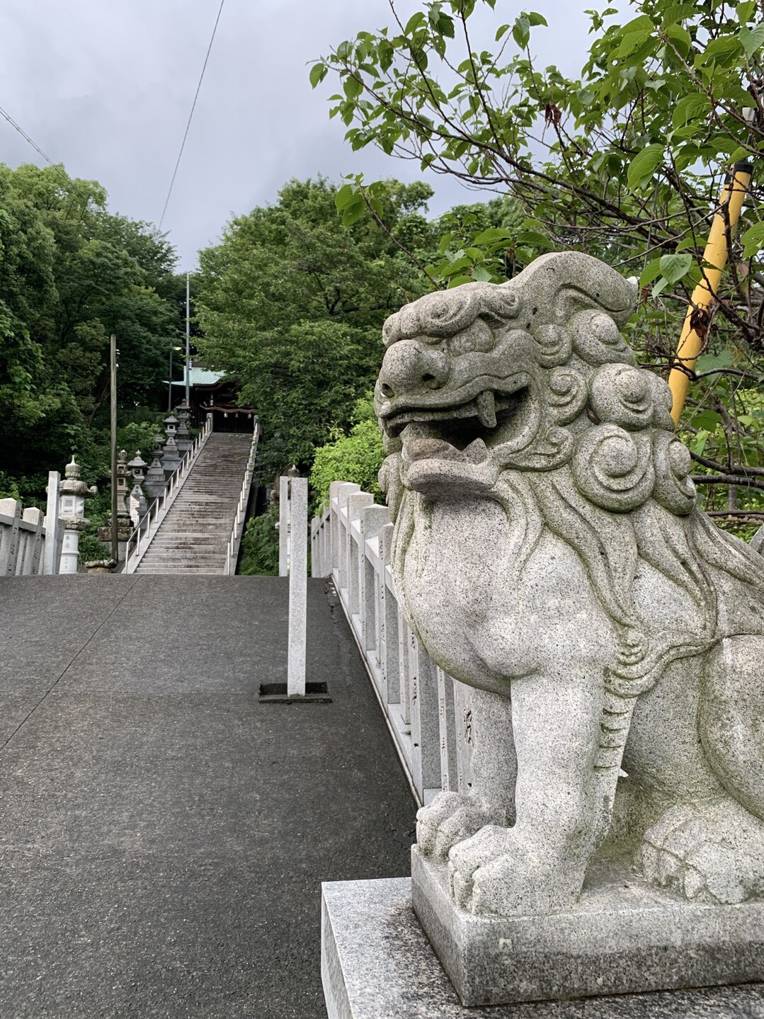 朝活 星岡山プチ縦走 3 5 松山市 南エリア の写真13枚目 かっこいい狛犬 Yamap ヤマップ