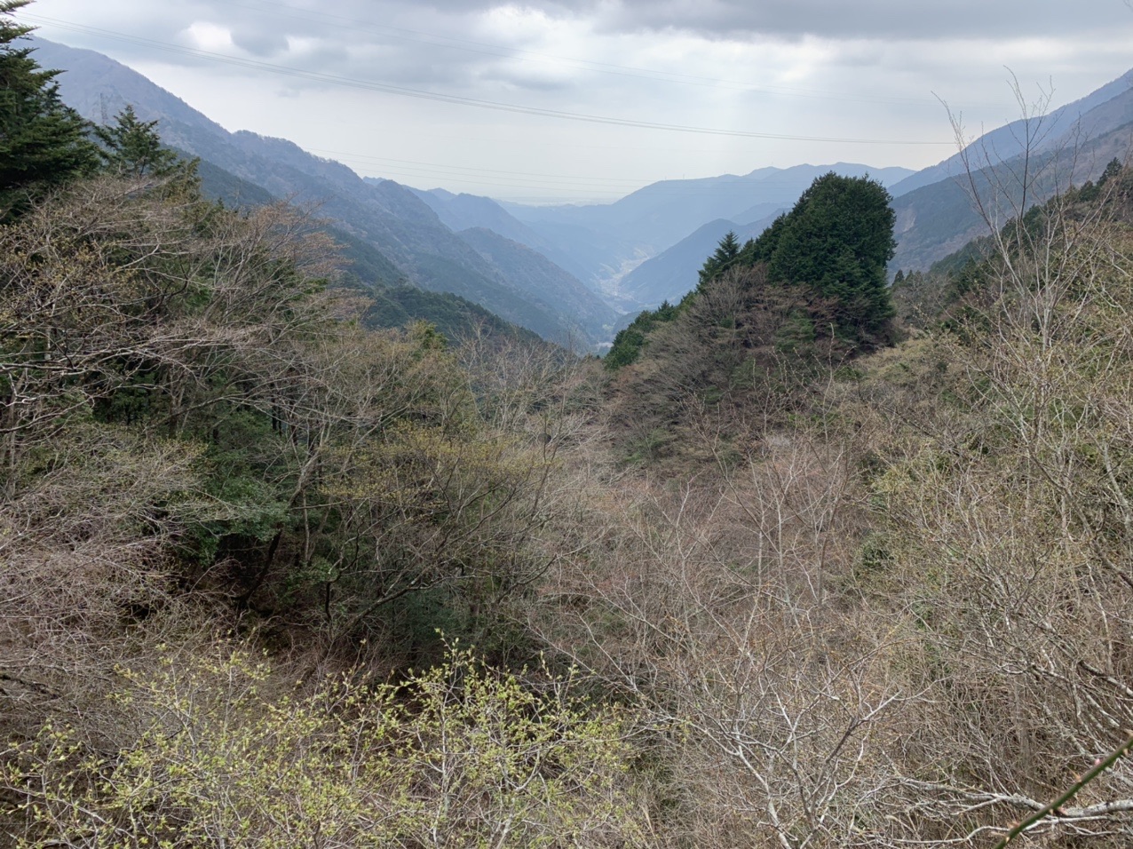 いやはや いろんな意味で大変だったトレッキング バッドコンディションで行く東海自然歩道 興津川コースから竜爪山コース編 Su Niiyanさんの青笹山の活動データ Yamap ヤマップ